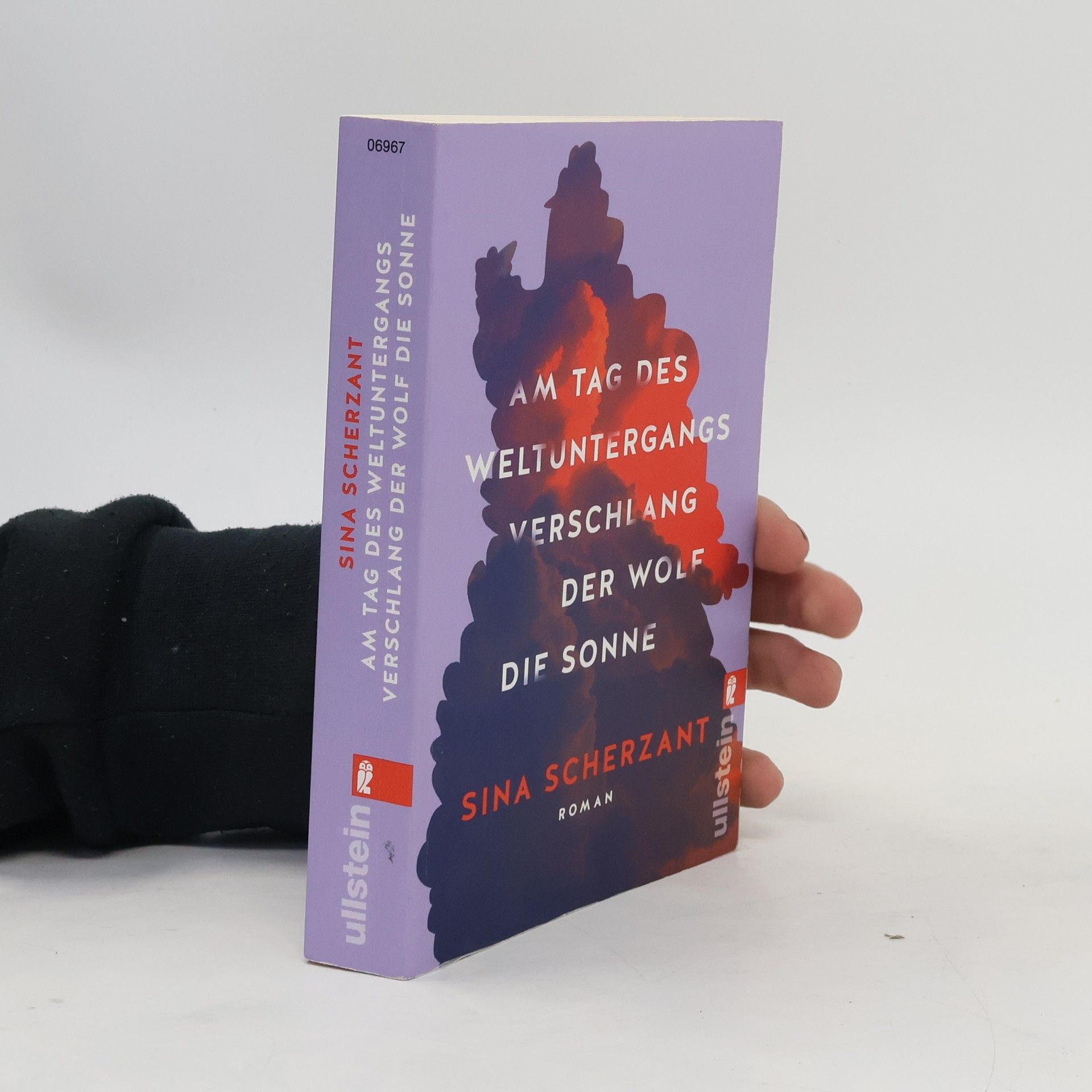 Sina Scherzant Am Tag des Weltuntergangs verschlang der Wolf die Sonne