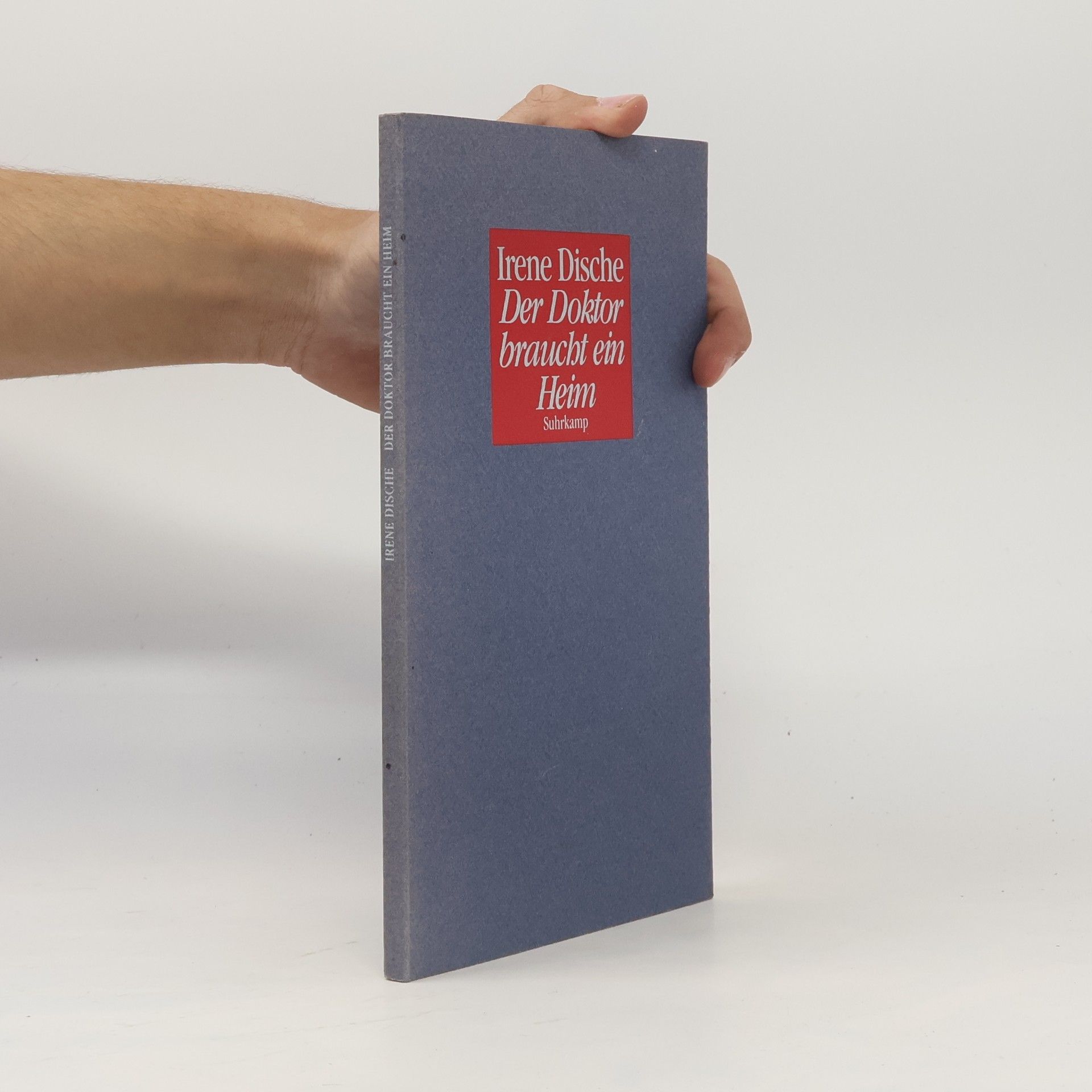 Irene Dische Der Doktor braucht ein Heim