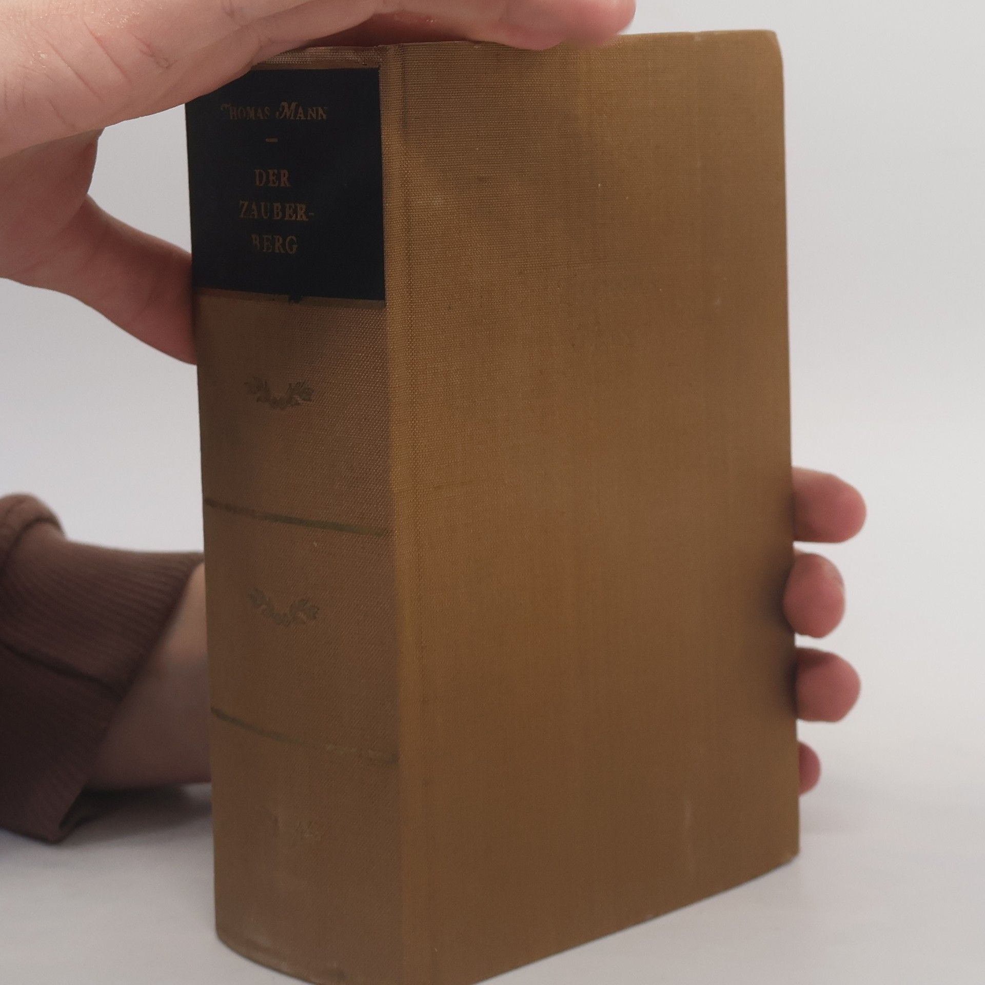 Thomas Mann Der Zauberger