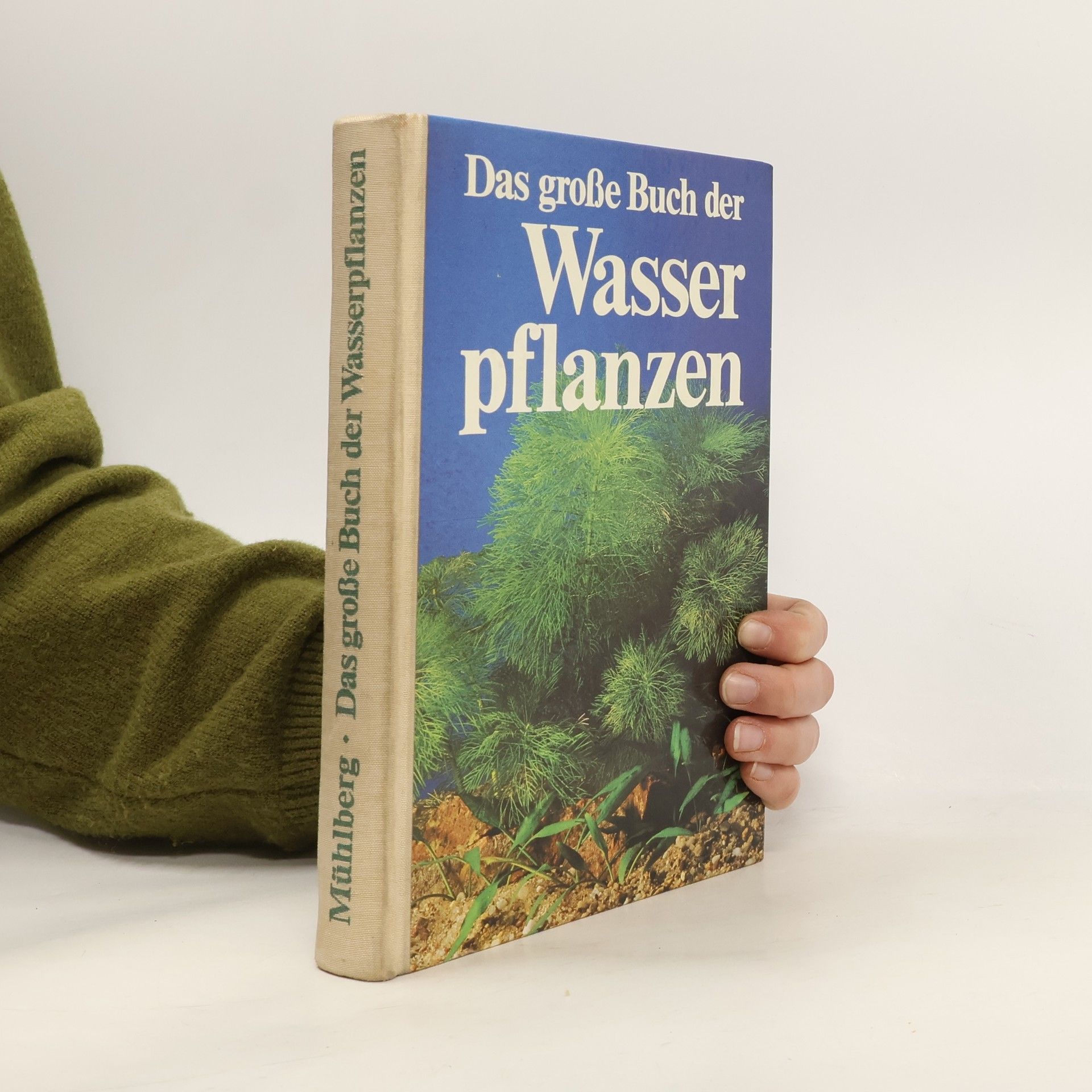 Helmut Mühlberg Das große Buch der Wasserpflanzen