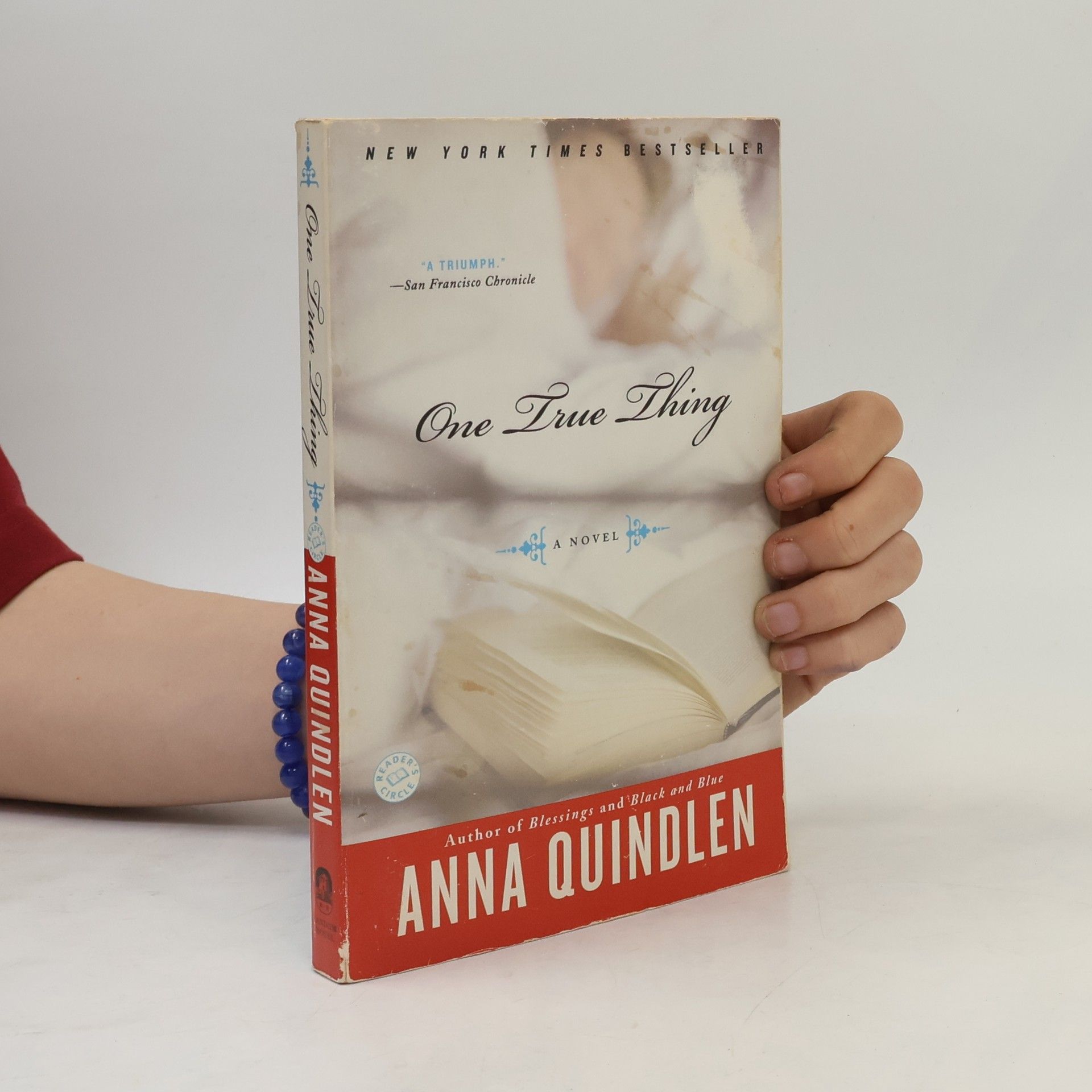 Anna Quindlen One True Thing