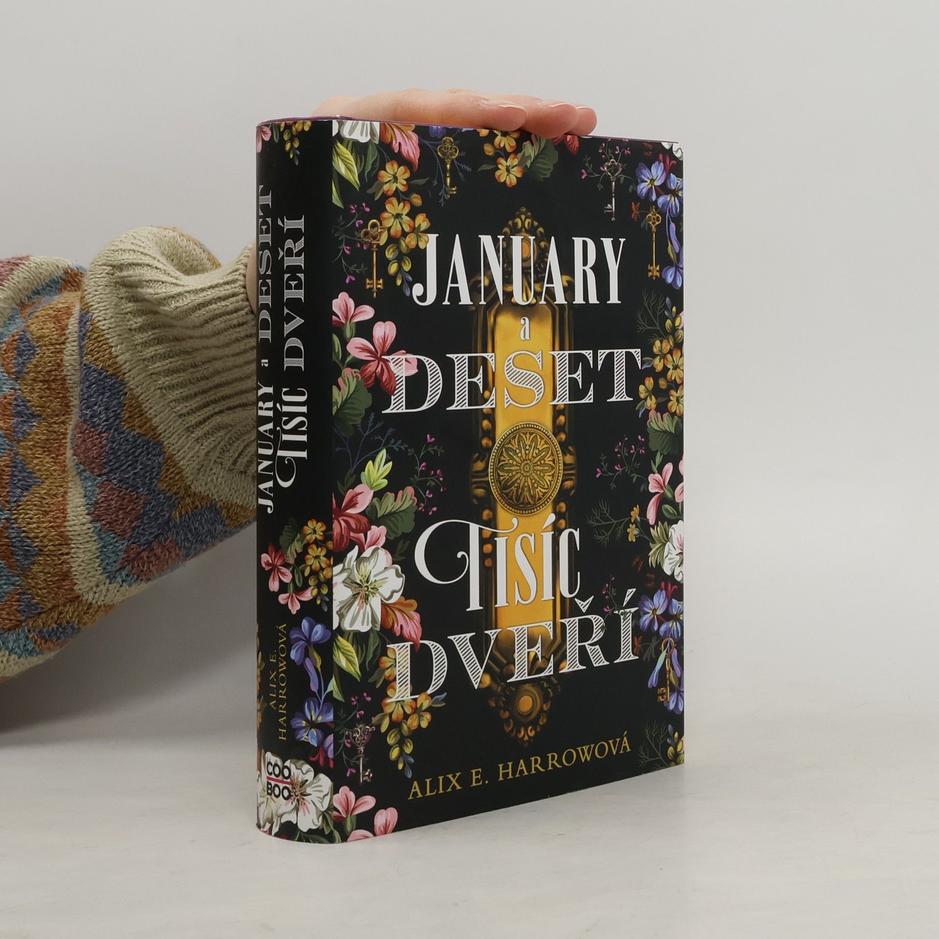 Alix E. Harrow January a Deset tisíc dveří