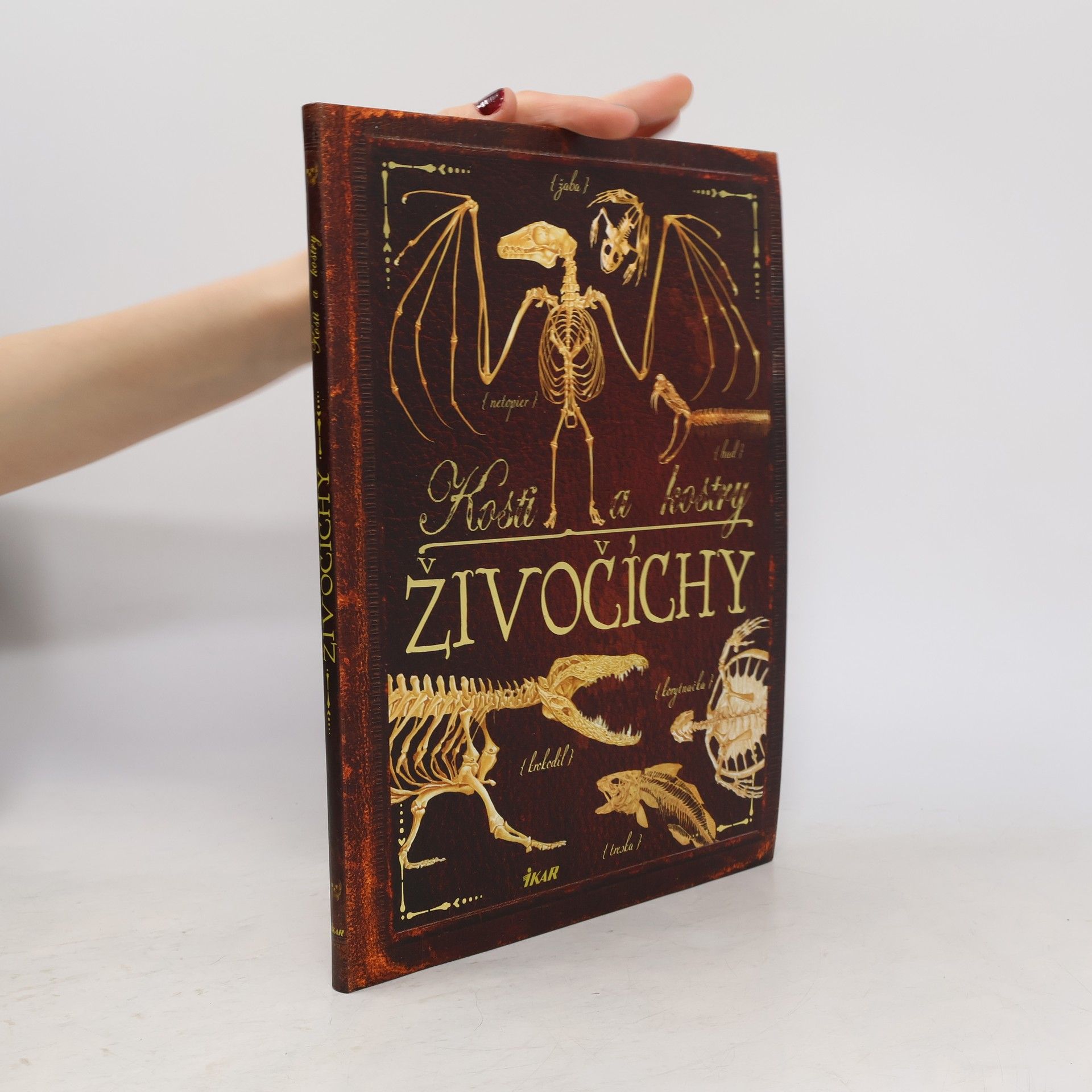 kolektiv Kosti a kostry. Živočíchy