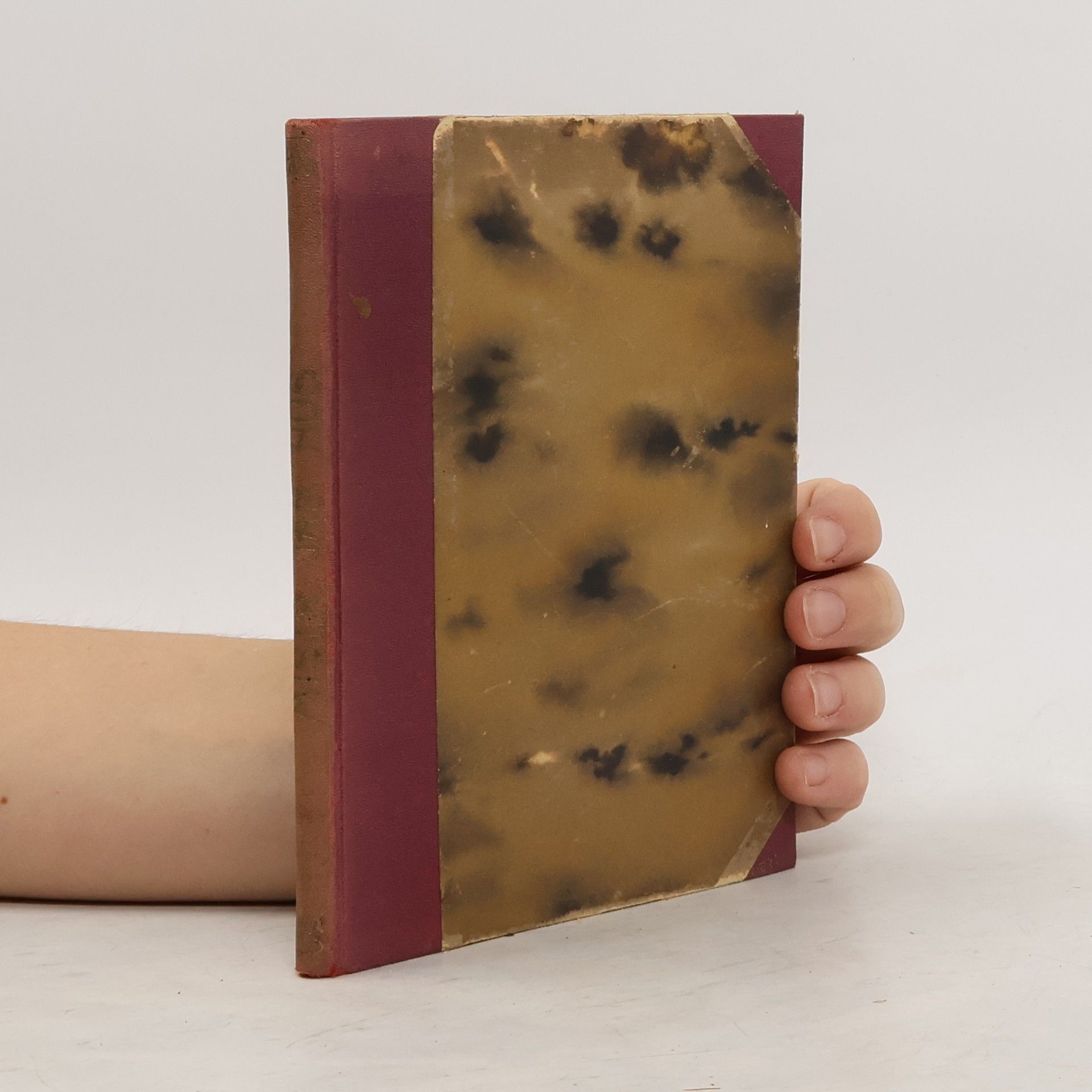 Karel M. F. Hanuš Čtení o M. Janu Husovi