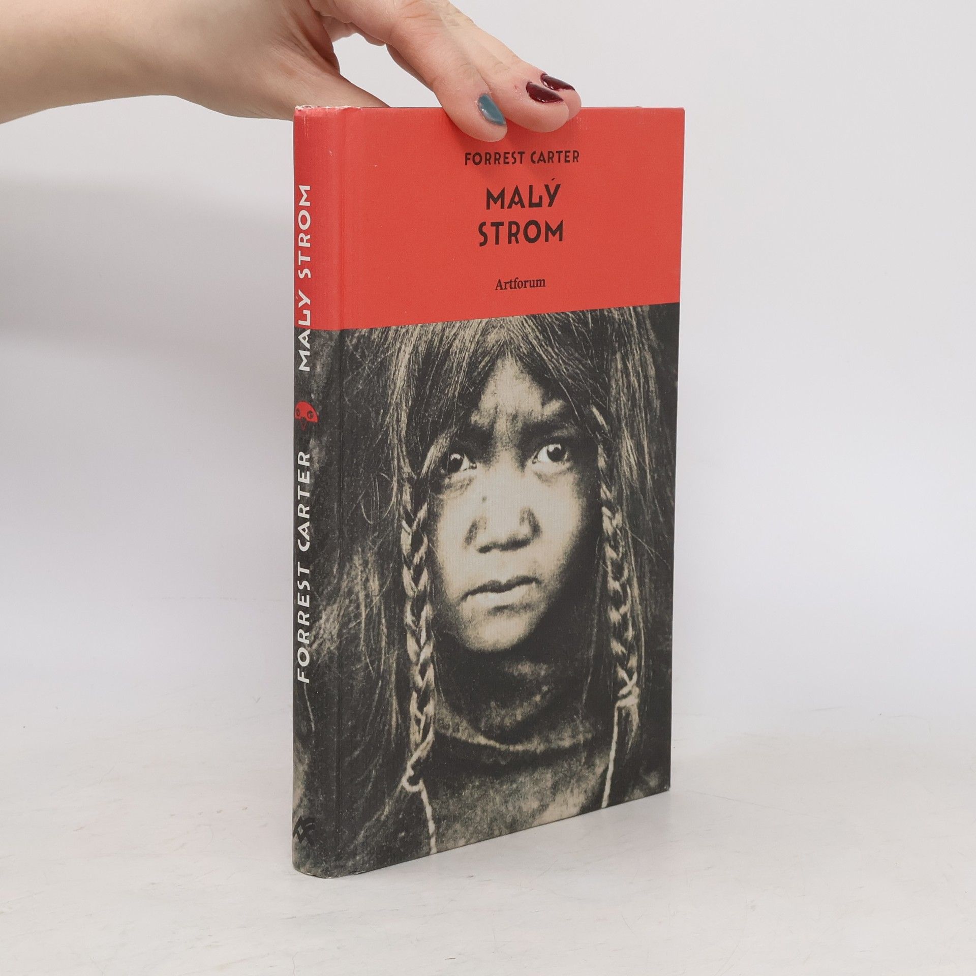 Forrest Carter Malý strom