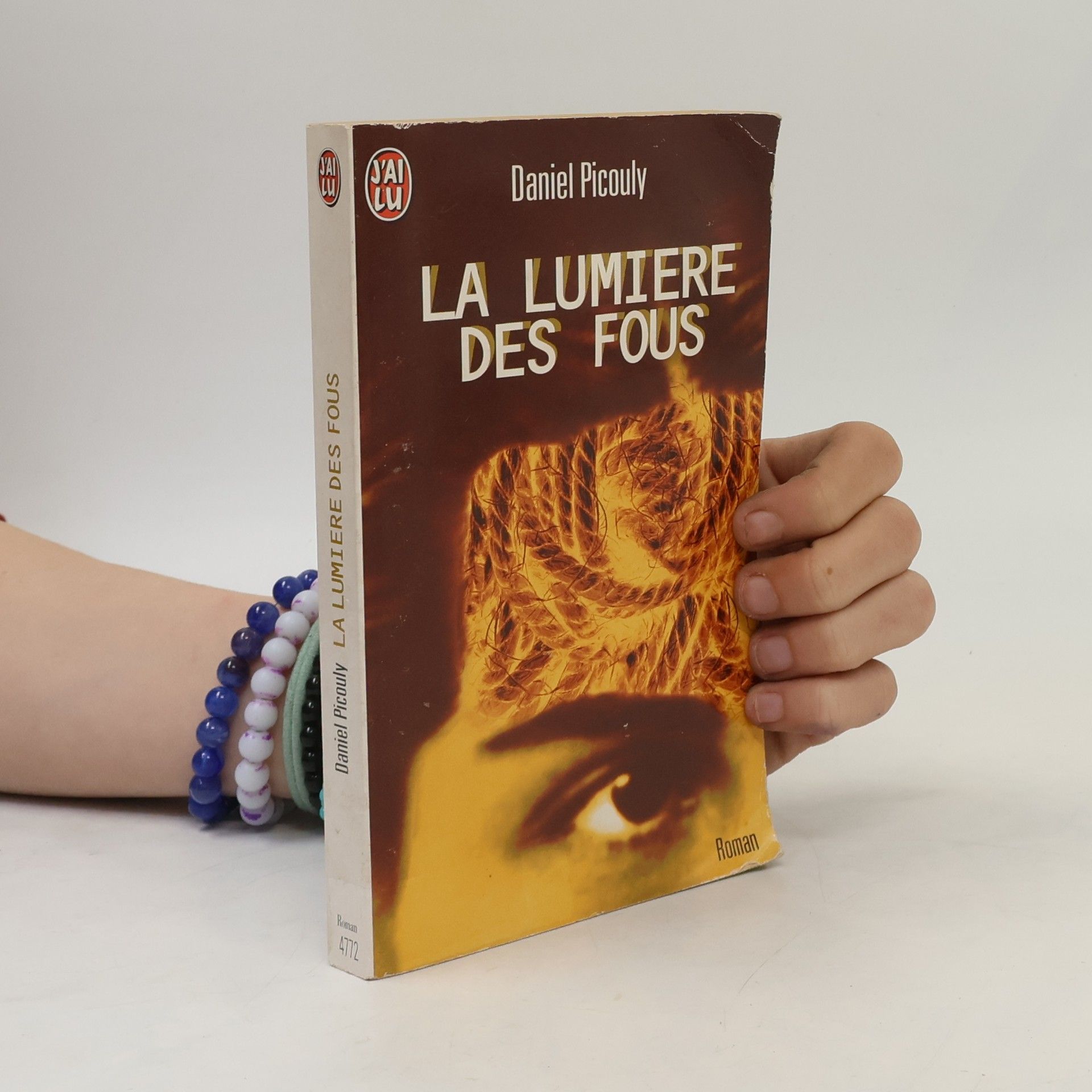 Daniel Picouly La lumière des fous