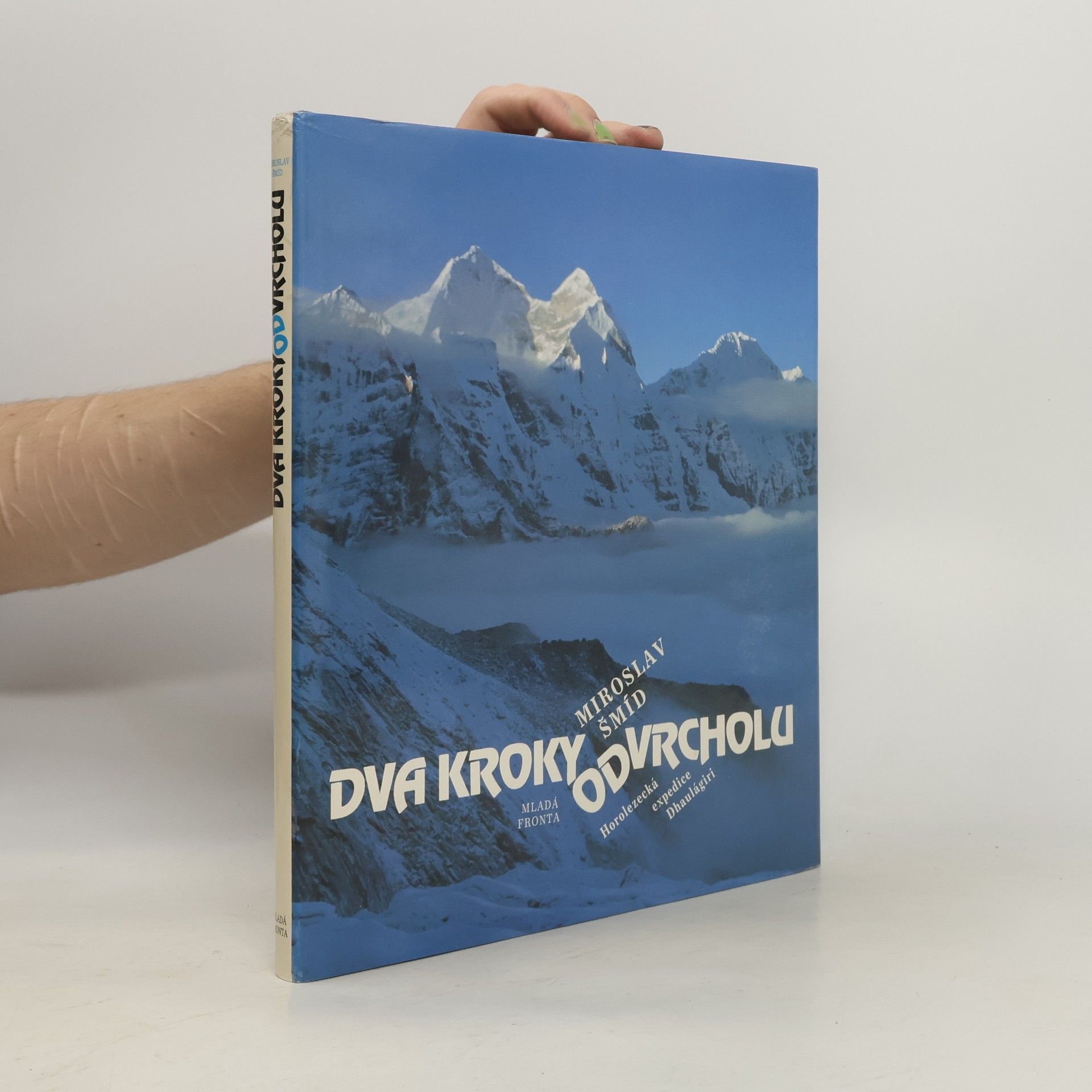 Miroslav Šmíd Dva kroky od vrcholu
