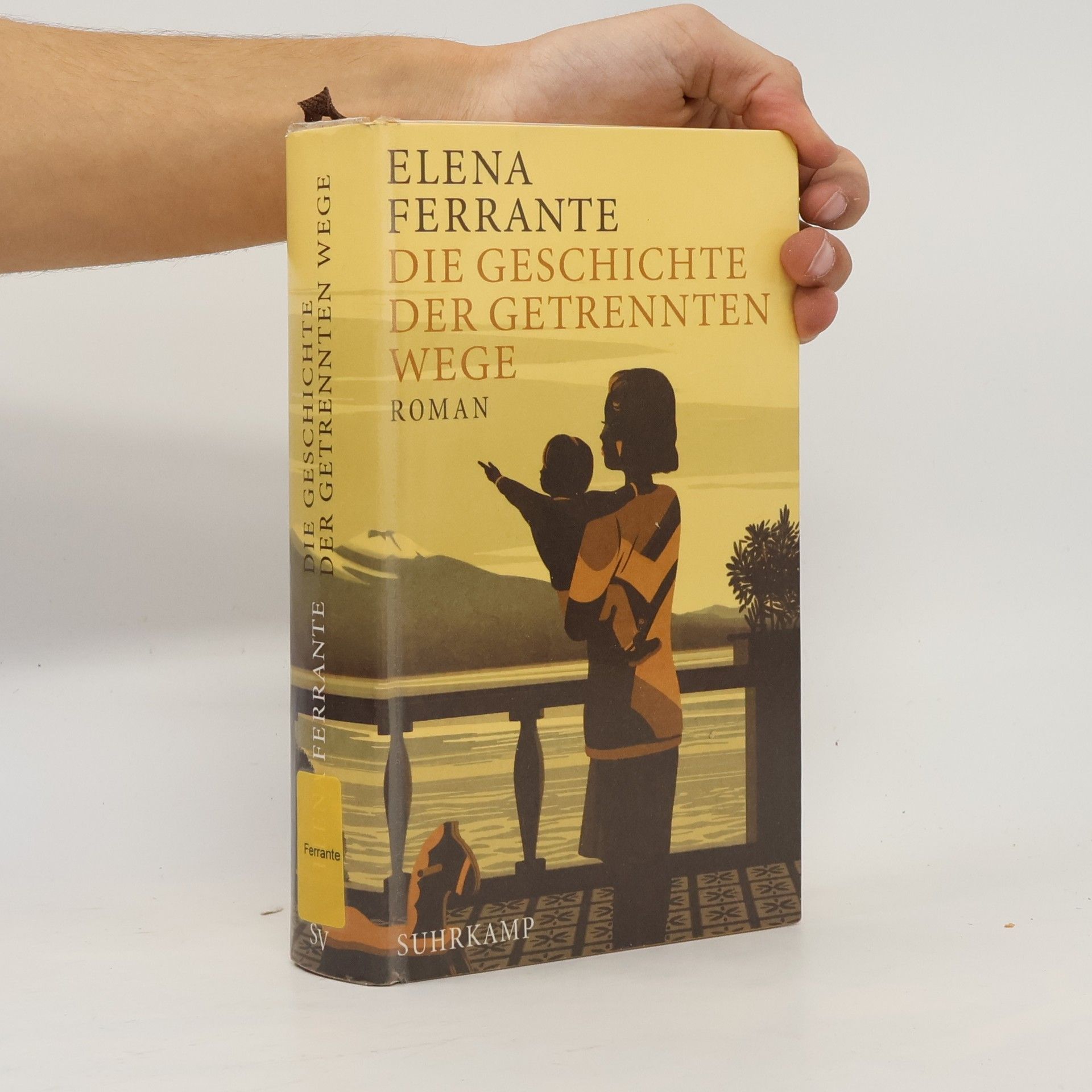 Elena Ferrante Die Geschichte Der Getrennten Wege : Erwachsenenjahre (Band III)