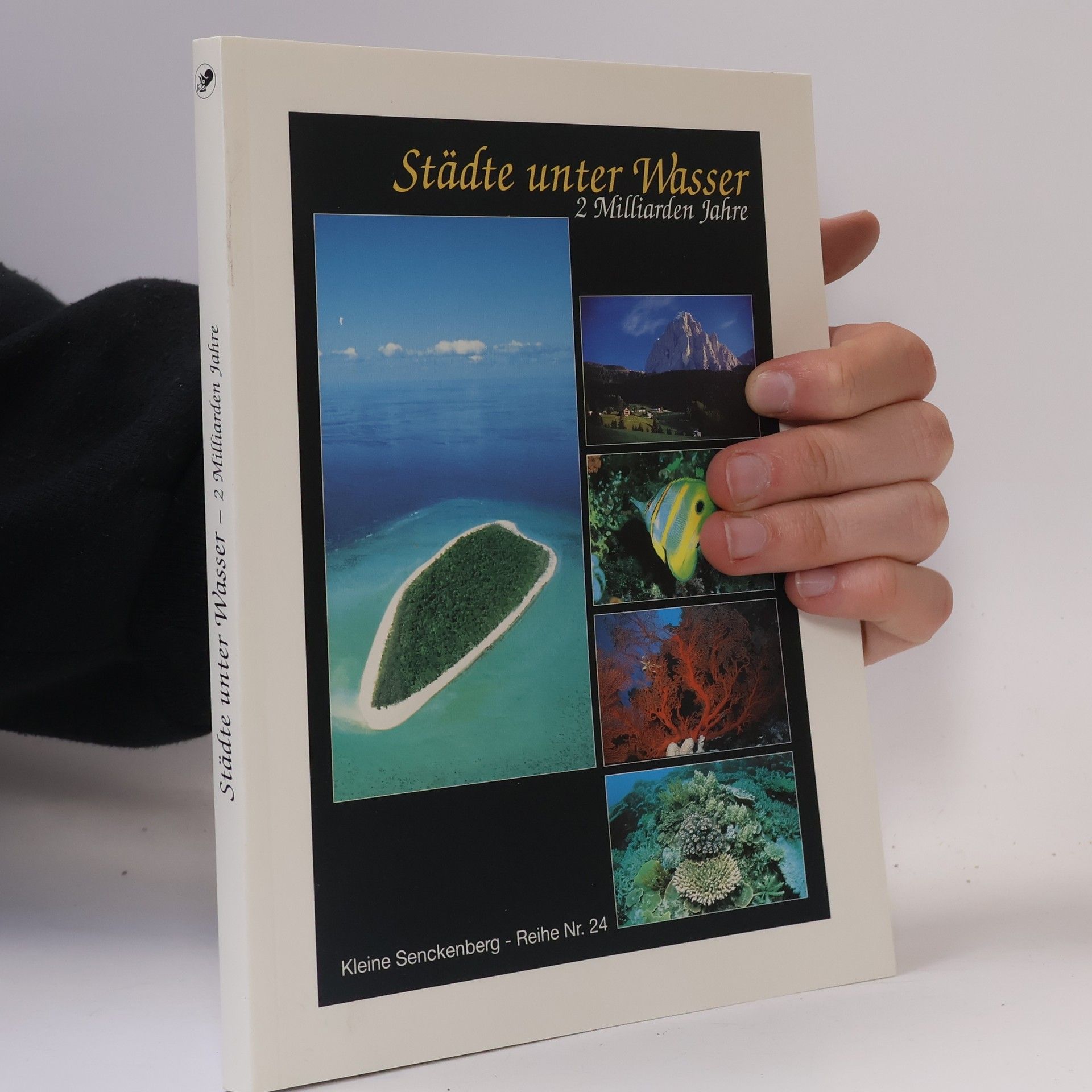 Fritz F. Steininger Städte unter Wasser