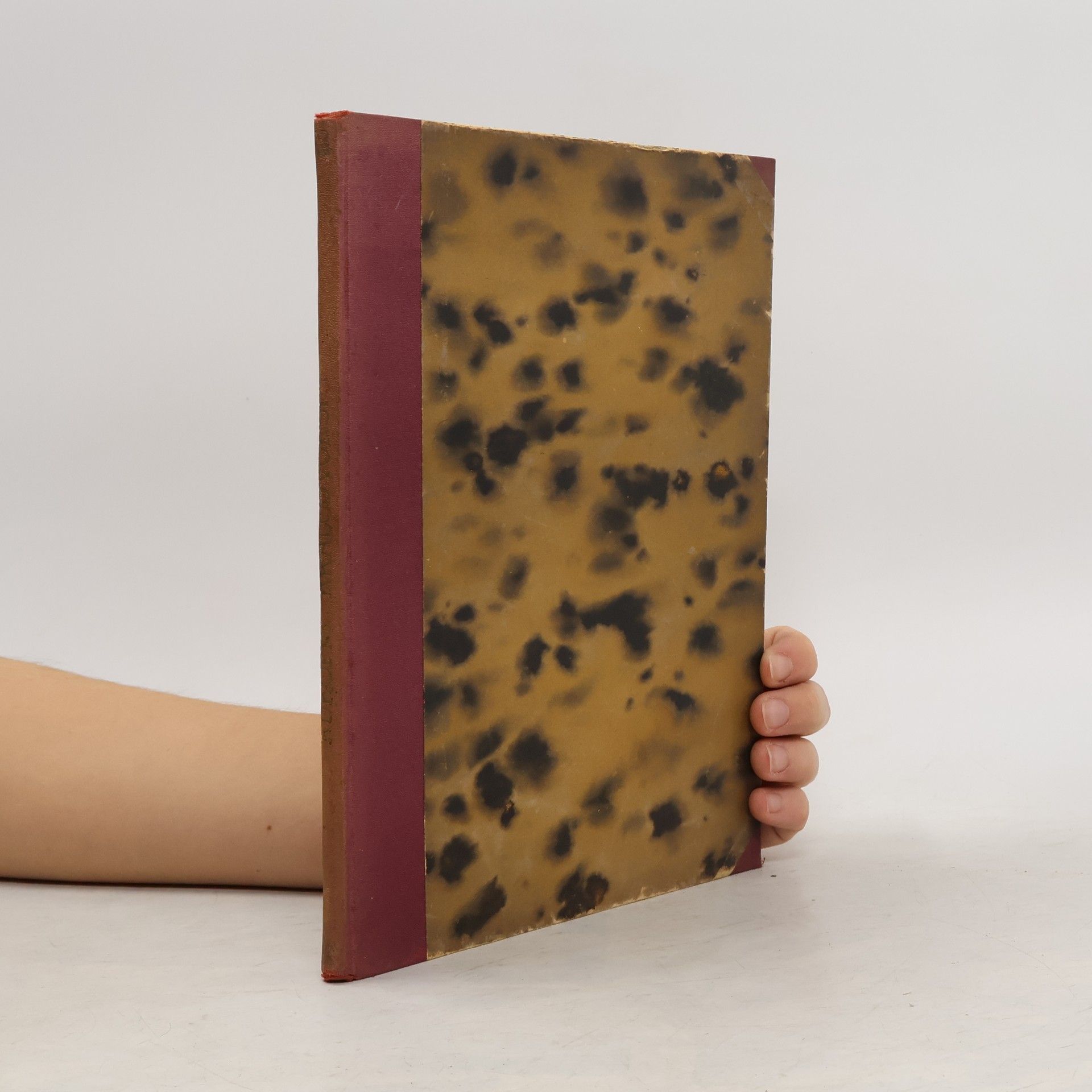 Hanka Václav Rukopis Králodvorský