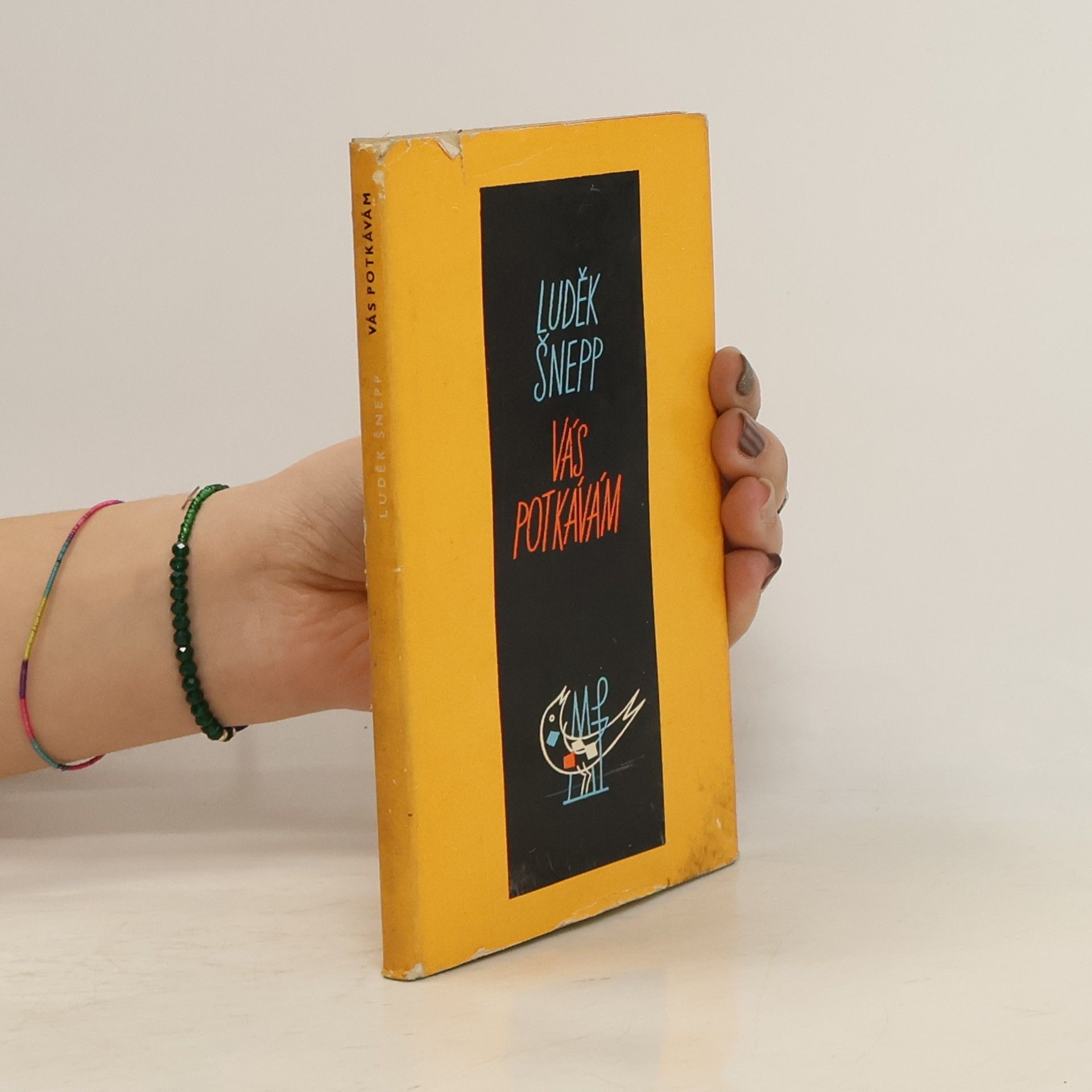 Luděk Šnepp Vás potkávám