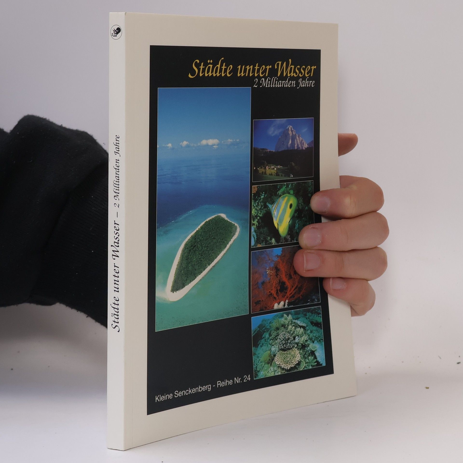 Fritz F. Steininger Städte unter Wasser