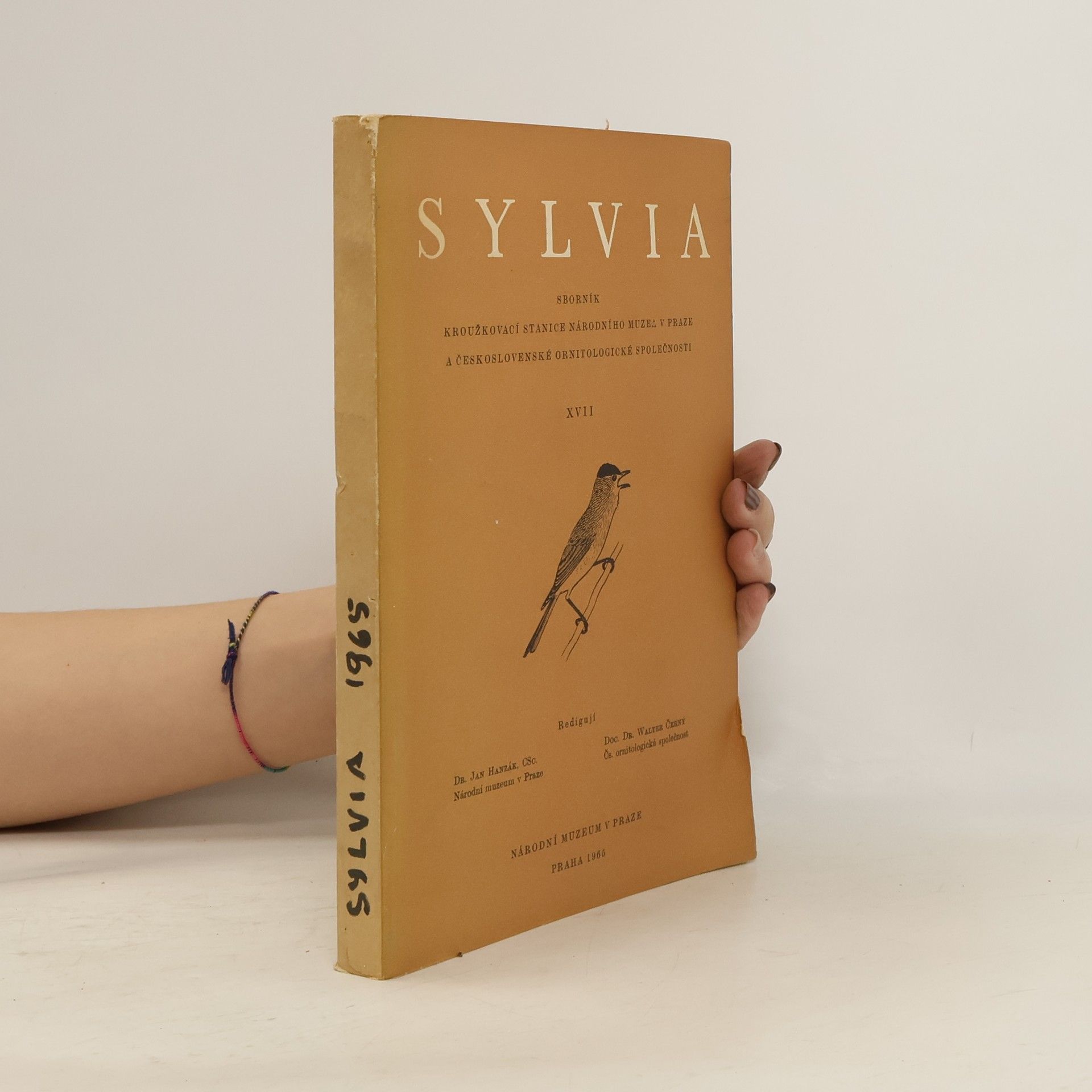 kolektiv Sylvia XVII