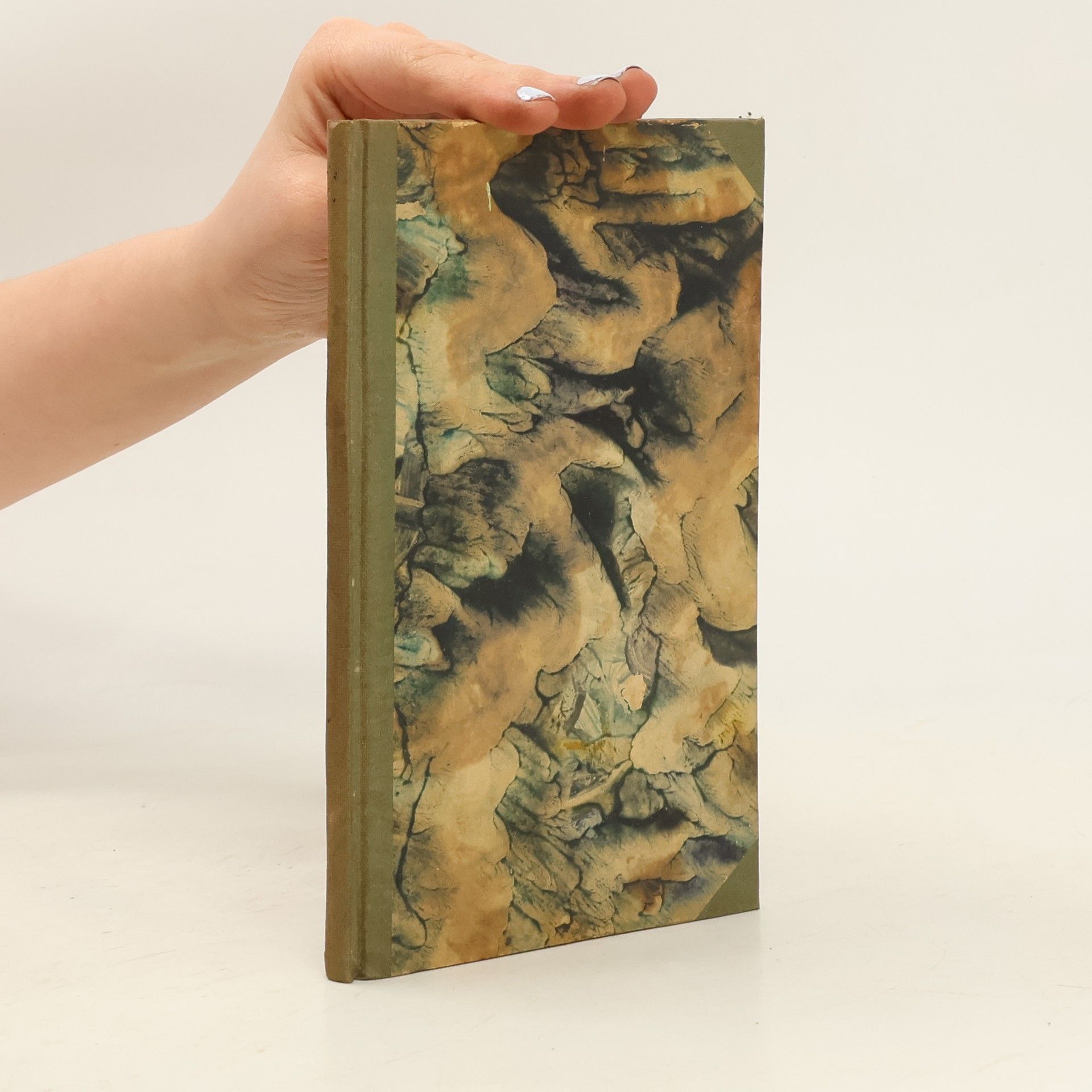 kolektiv Lesy a ulice : verše