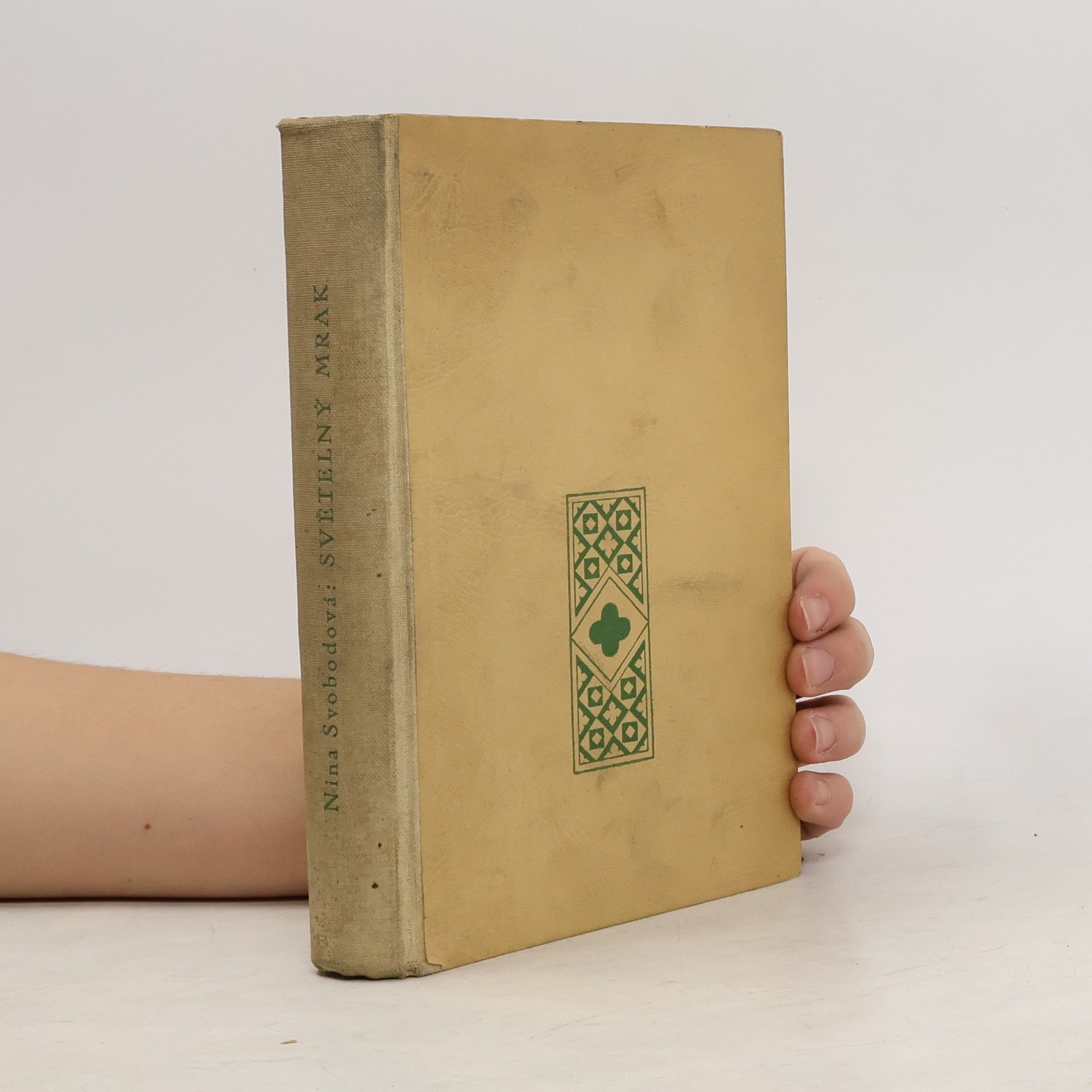 Nina Svobodová Světelný mrak