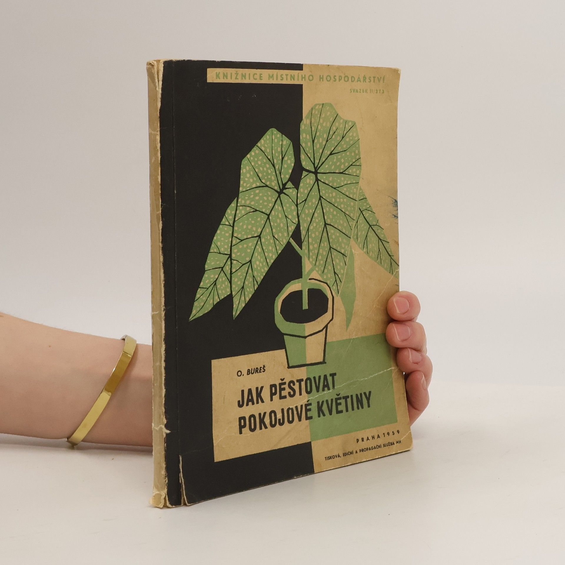 Oldřich Bureš Ako sa pestujú izbové rastliny