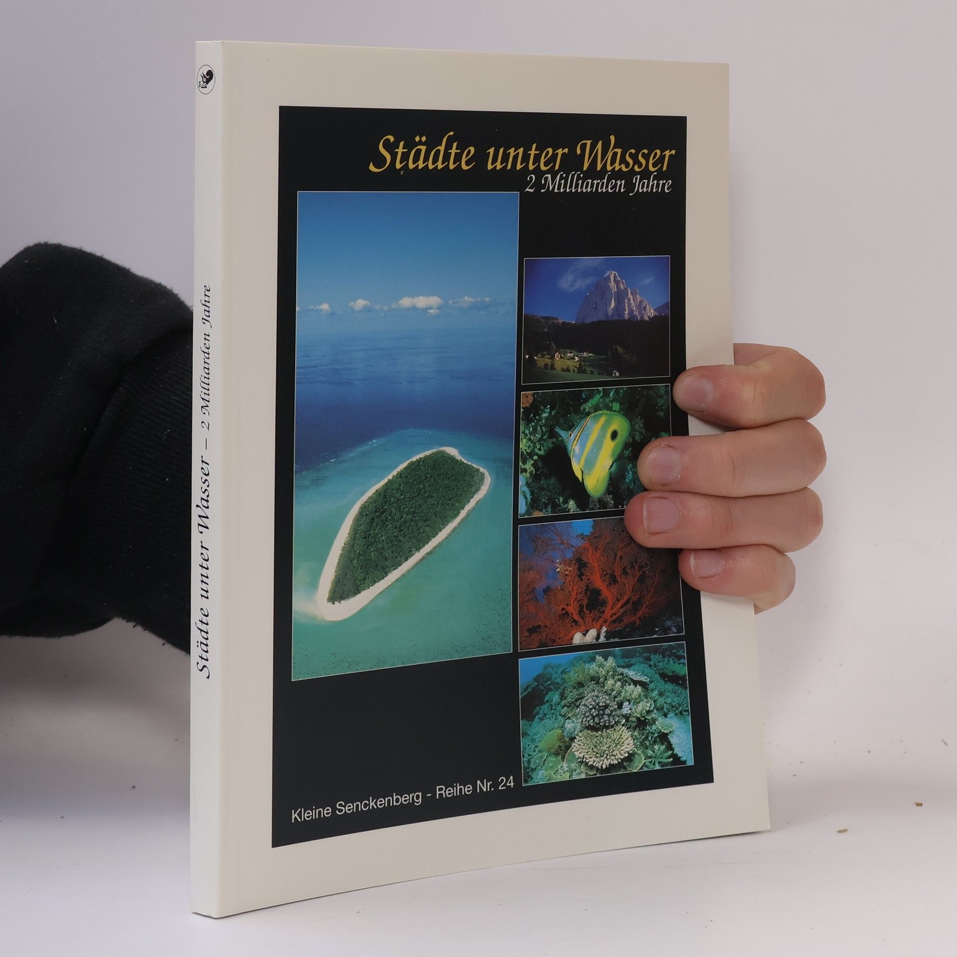 Fritz F. Steininger Städte unter Wasser