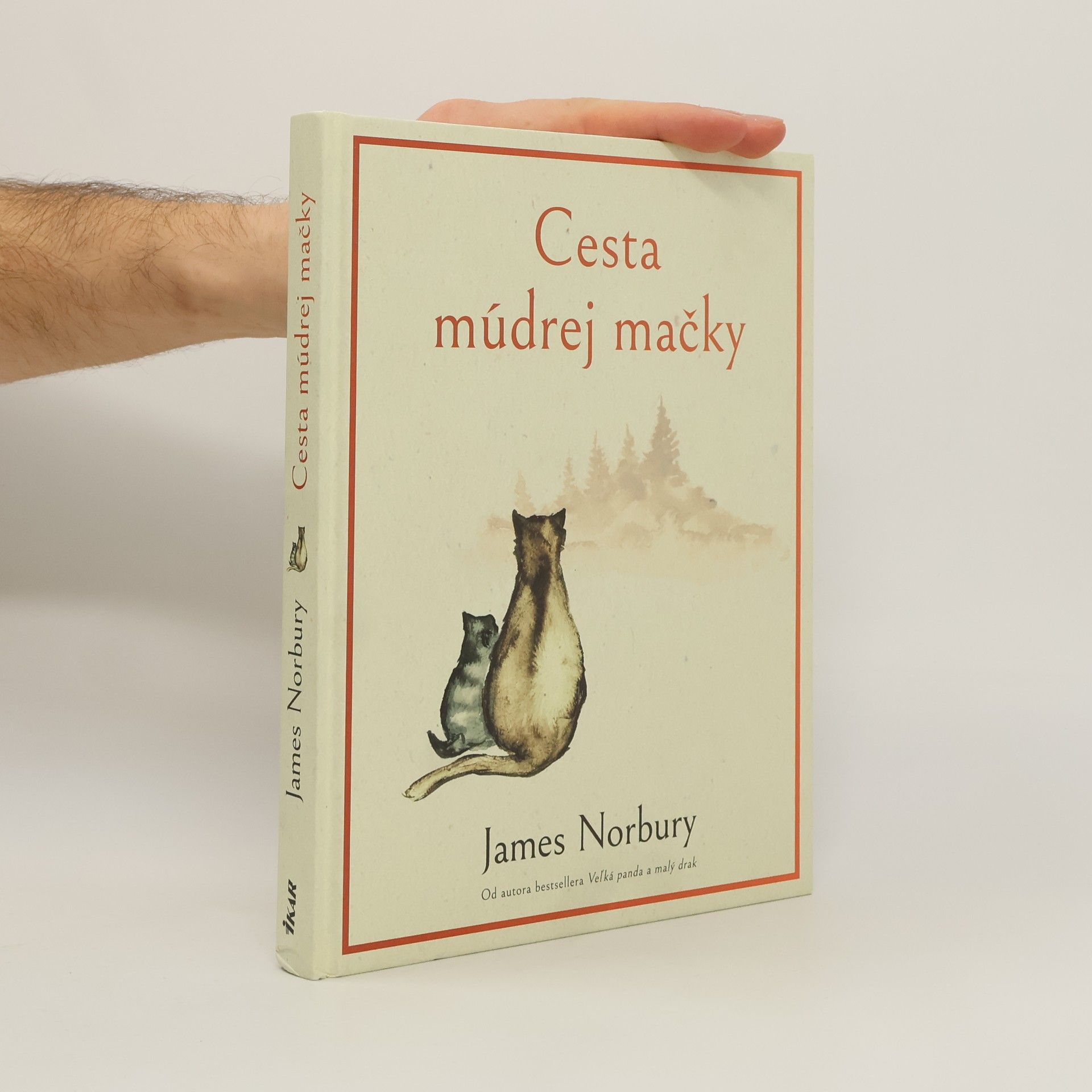 James Norbury Cesta múdrej mačky