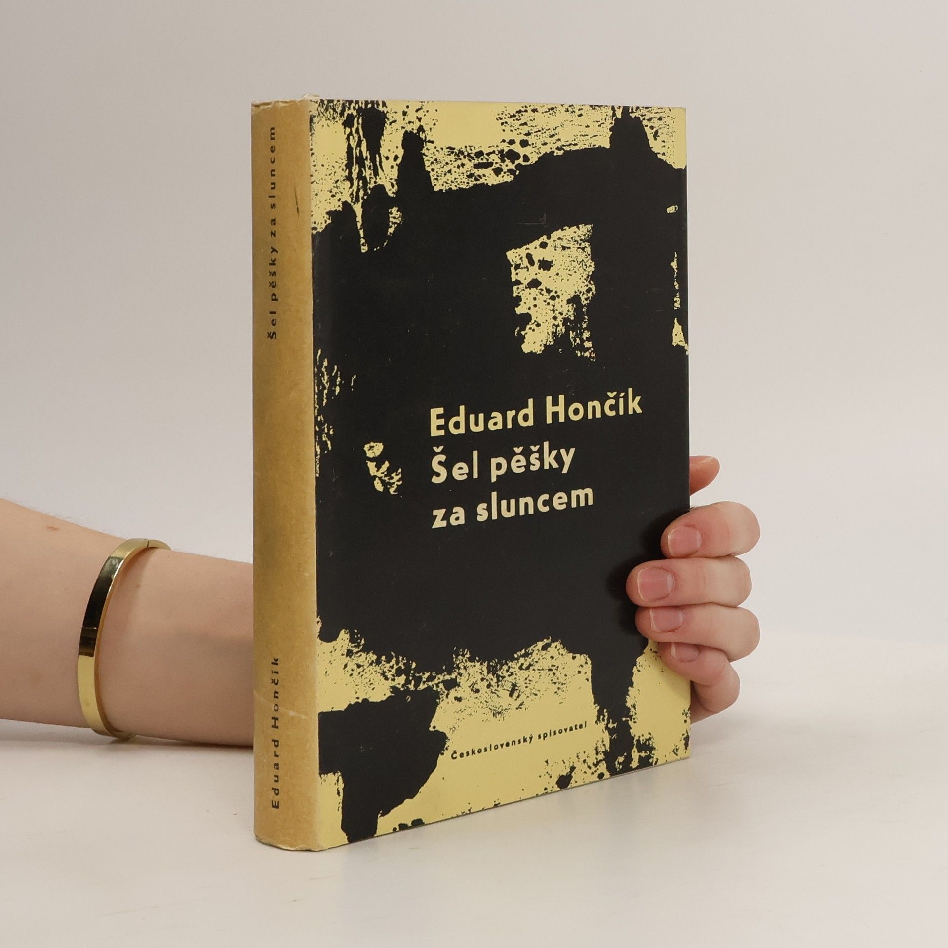 Eduard Hončík Šel pěšky za sluncem