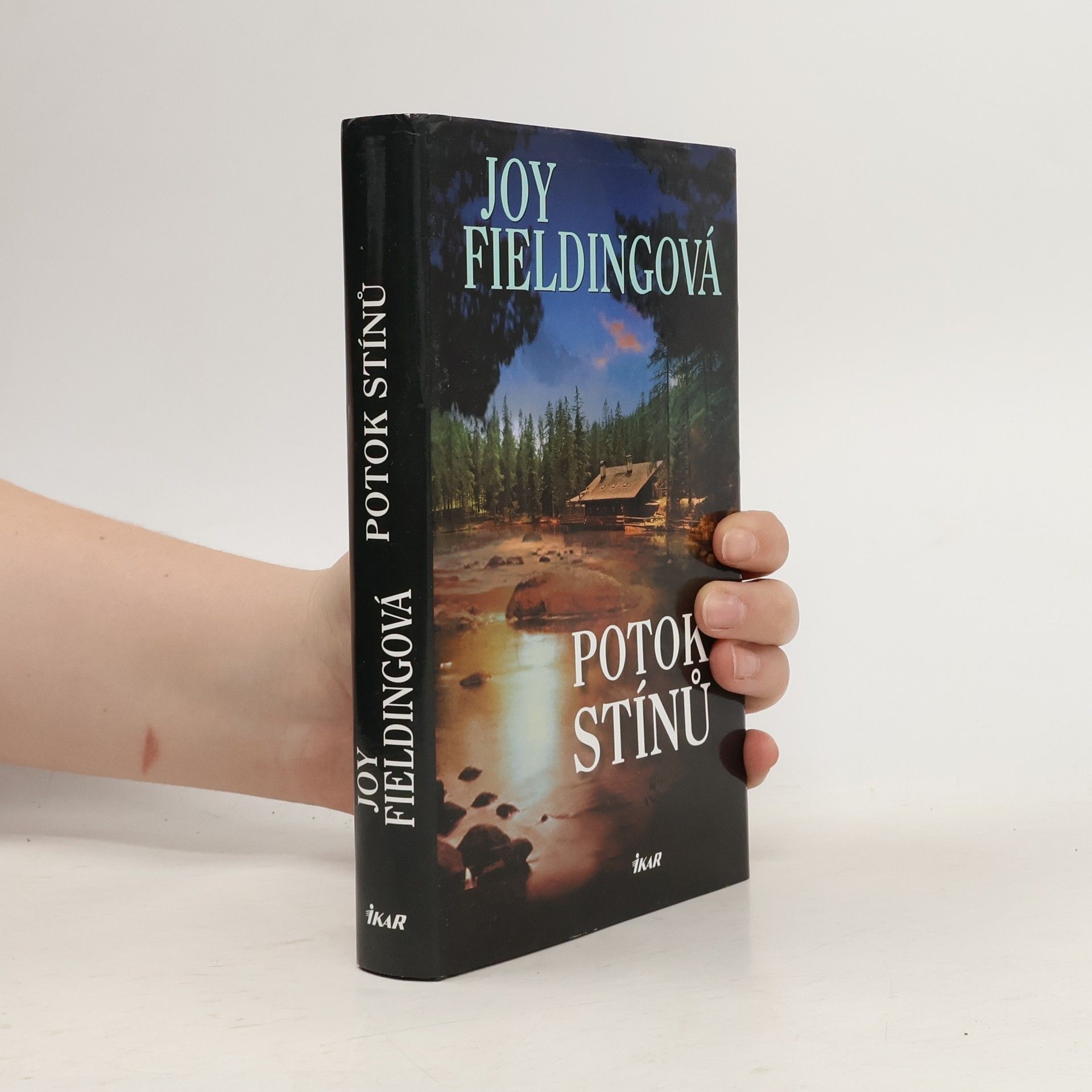 Joy Fielding Potok stínů