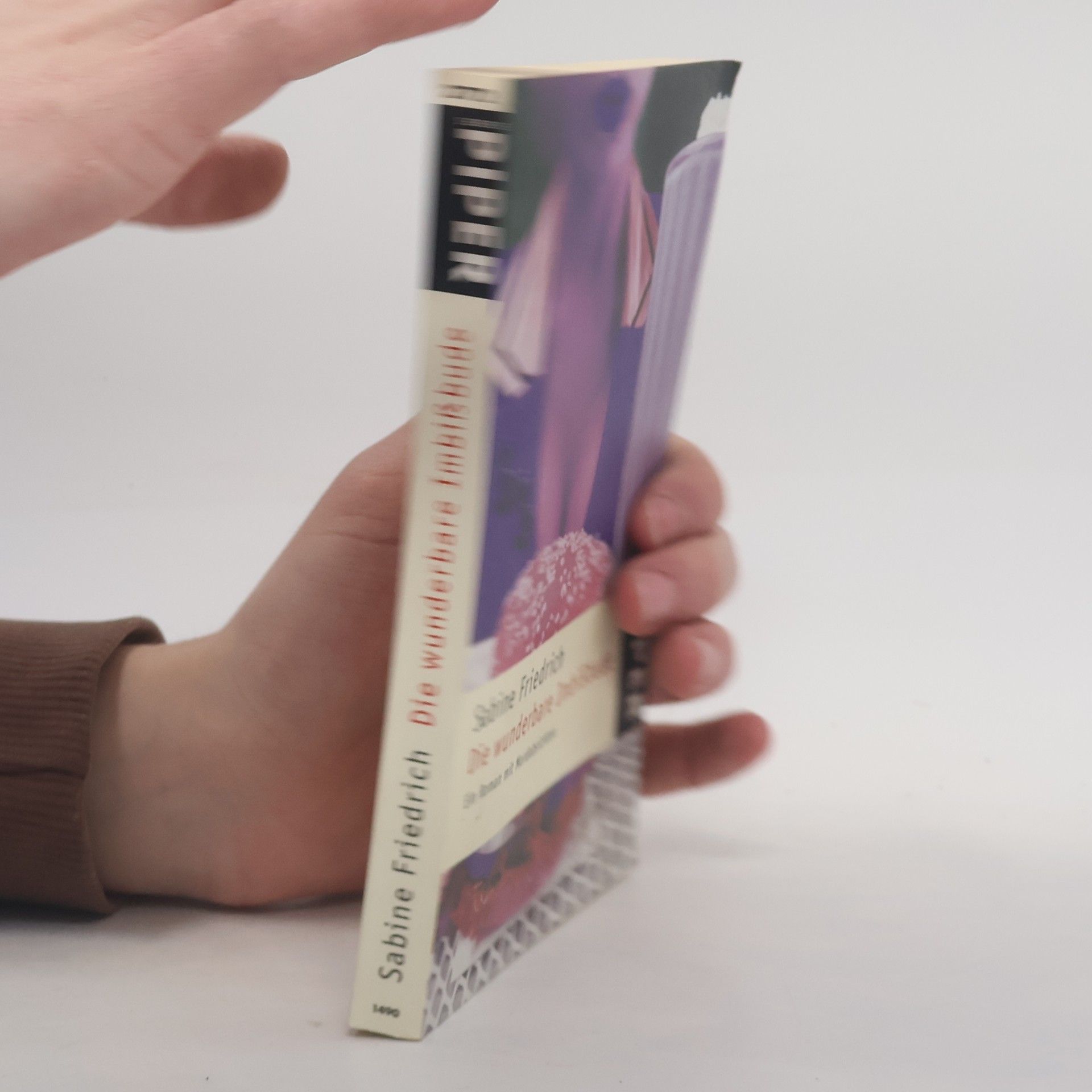 Sabine Friedrich Die wunderbare Imbißbude