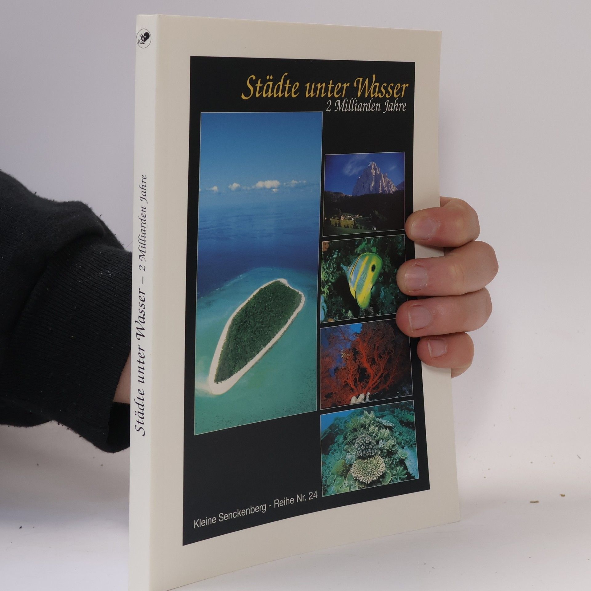Fritz F. Steininger Städte unter Wasser