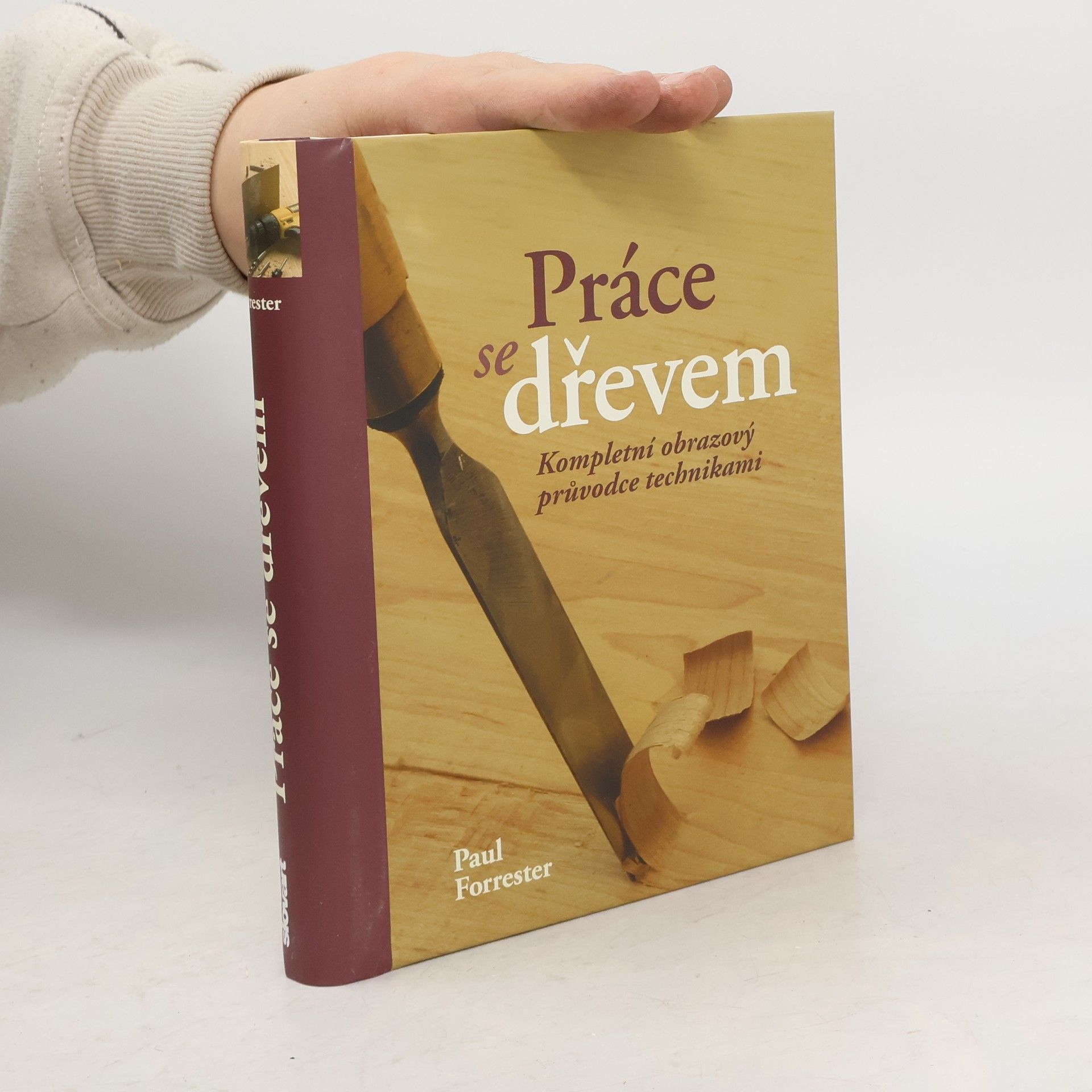Paul Forrester Práce se dřevem: kompletní obrazový průvodce technikami