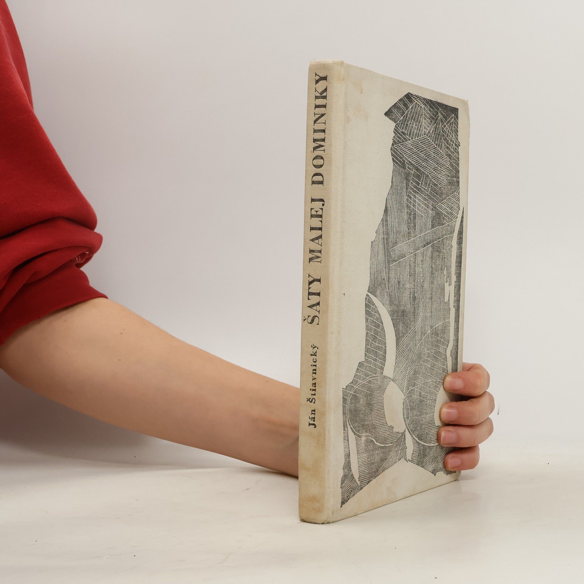 Ján Štiavnický Šaty malej Dominiky