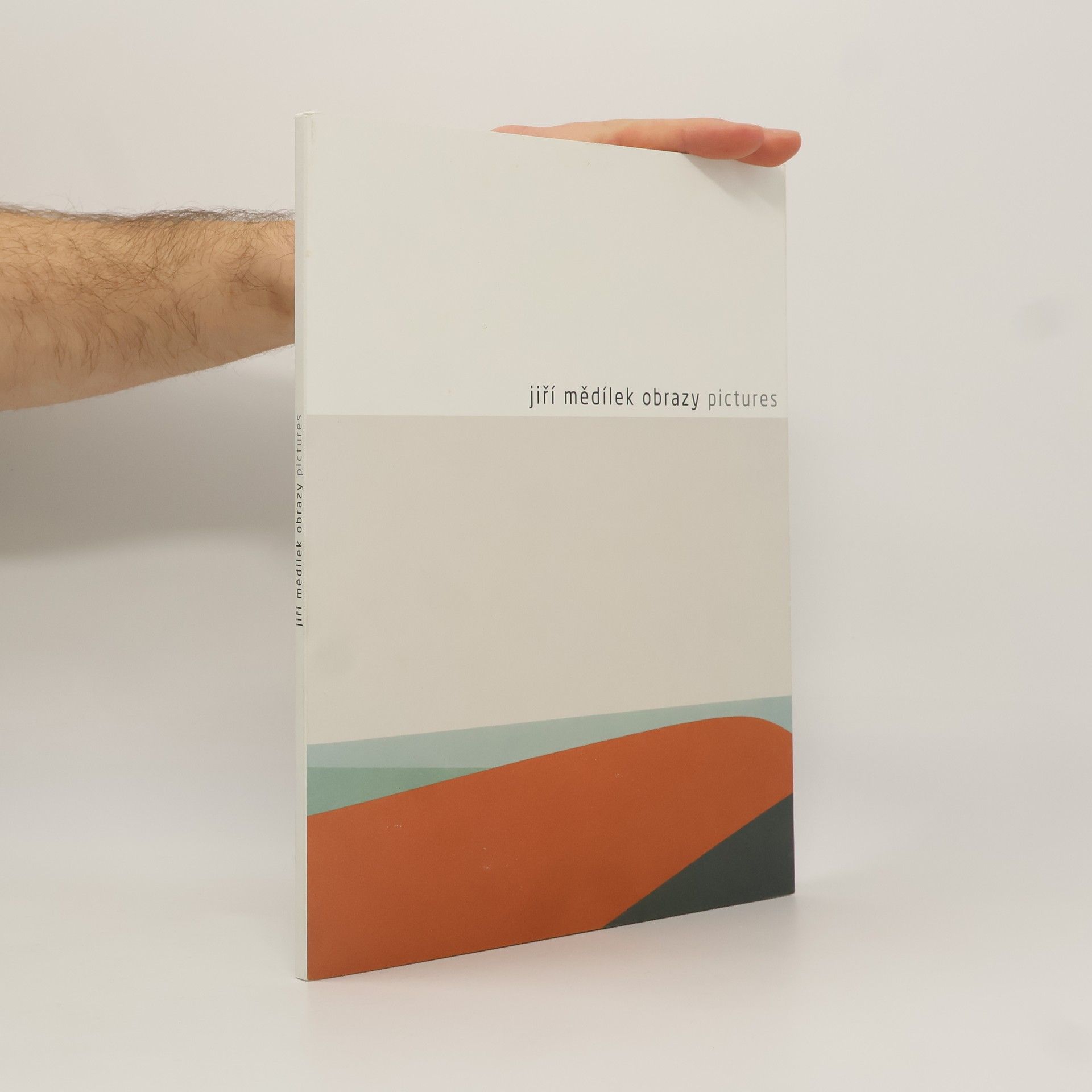 Jiří Mědílek: obrazy = pictures