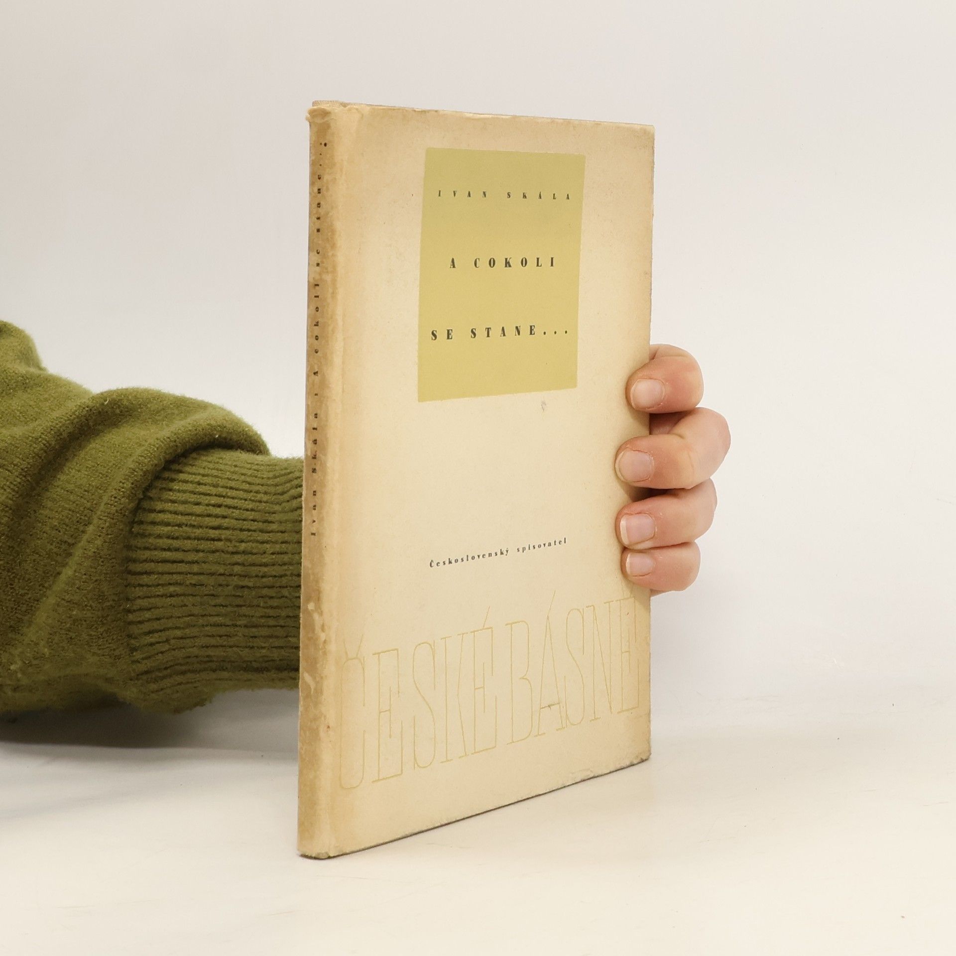 Ivan Skála A cokoli se stane