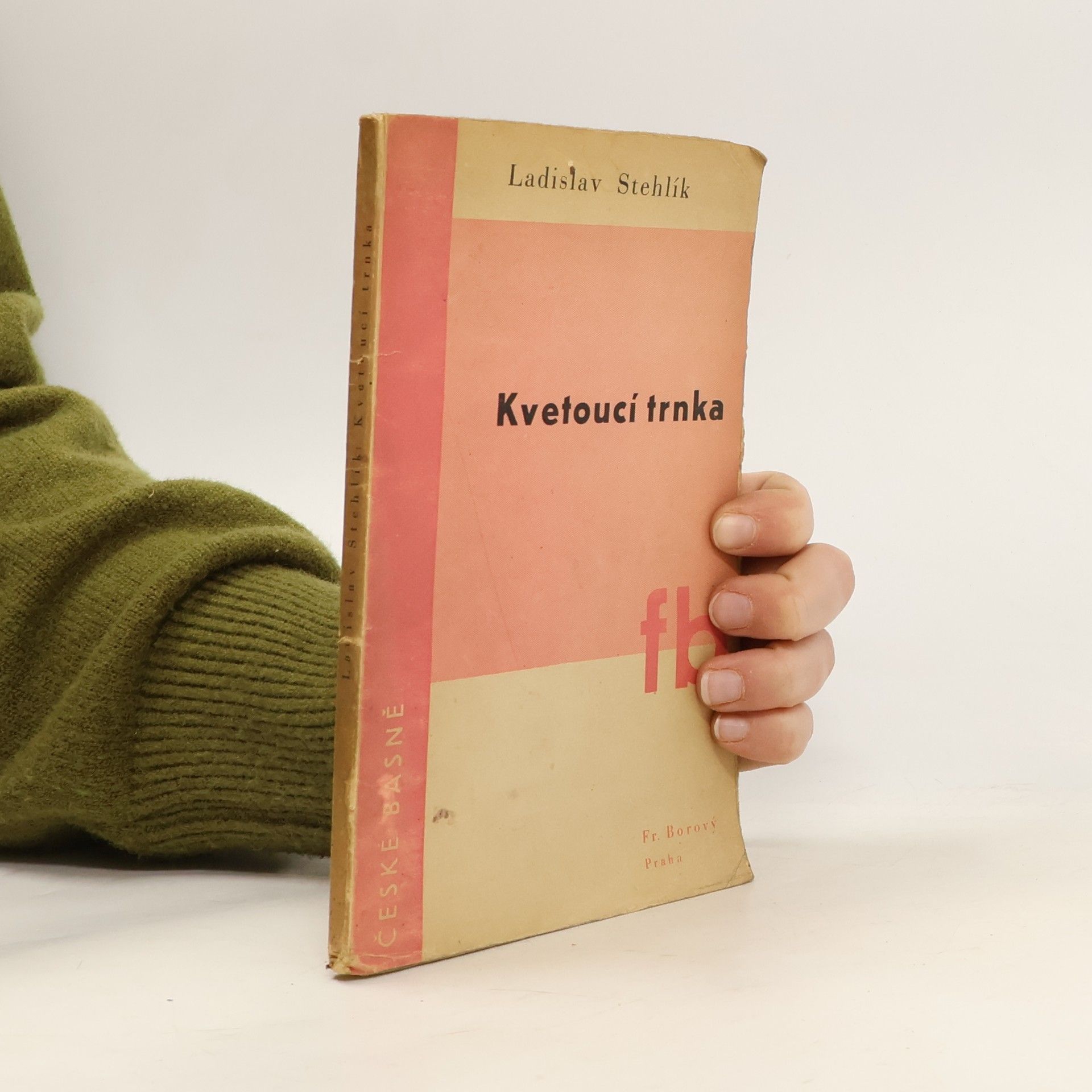 Ladislav Stehlík Kvetoucí trnka