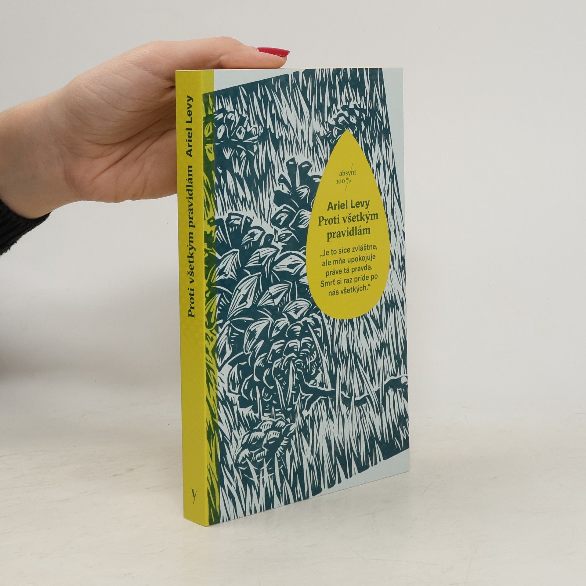 Ariel Levy Proti všetkým pravidlám
