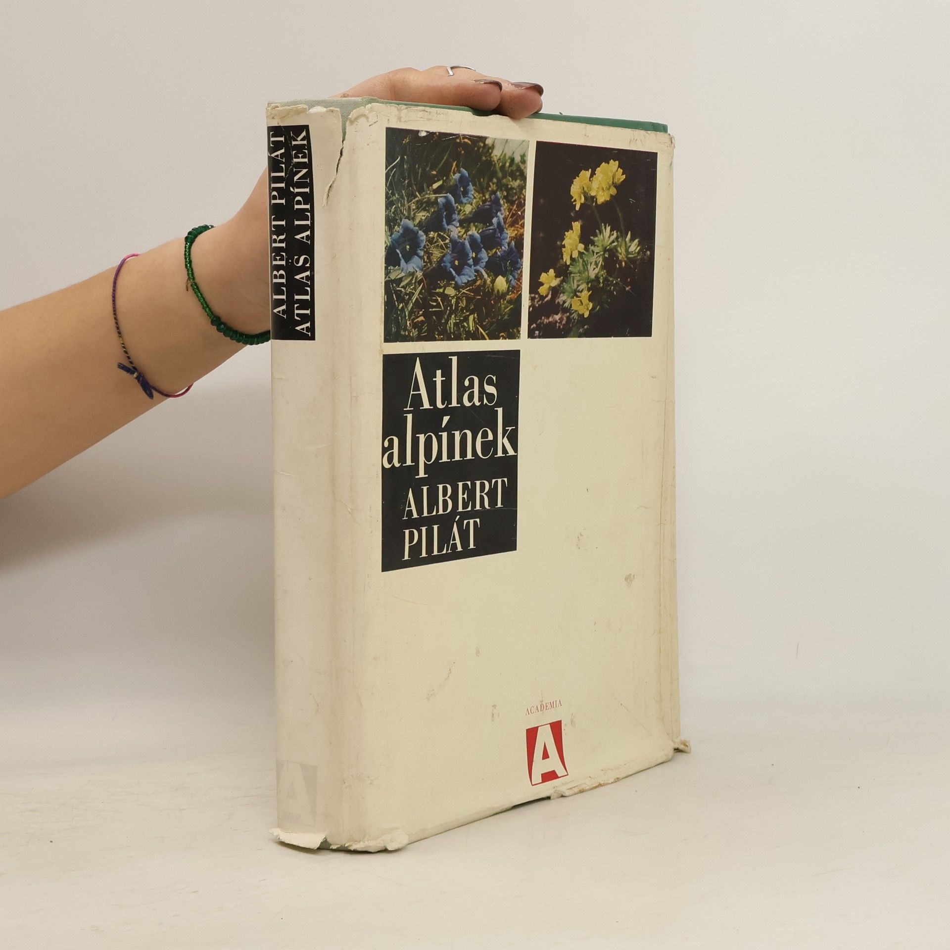 Albert Pilát Atlas alpínek