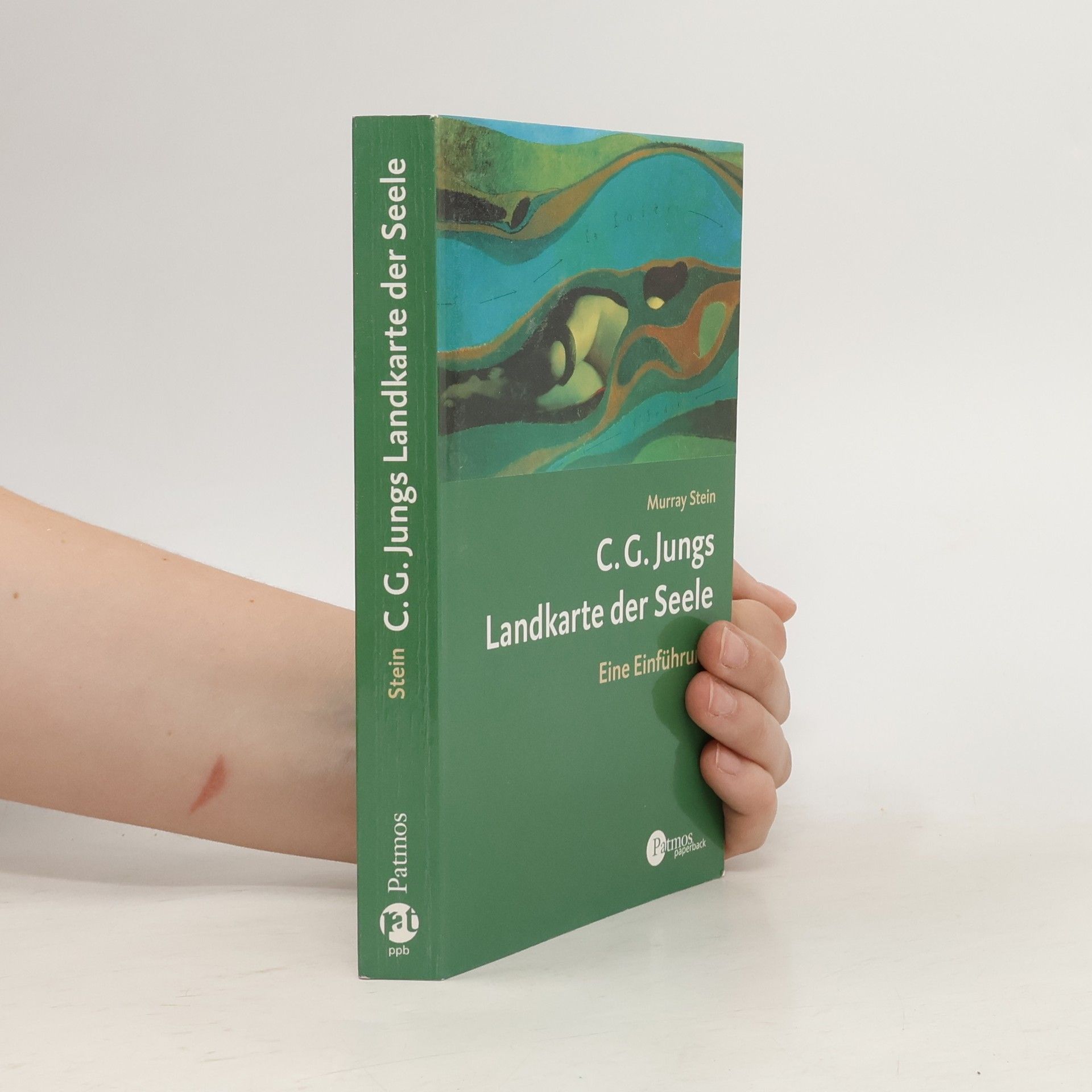 Murray Stein C.G. Jungs Landkarte der Seele