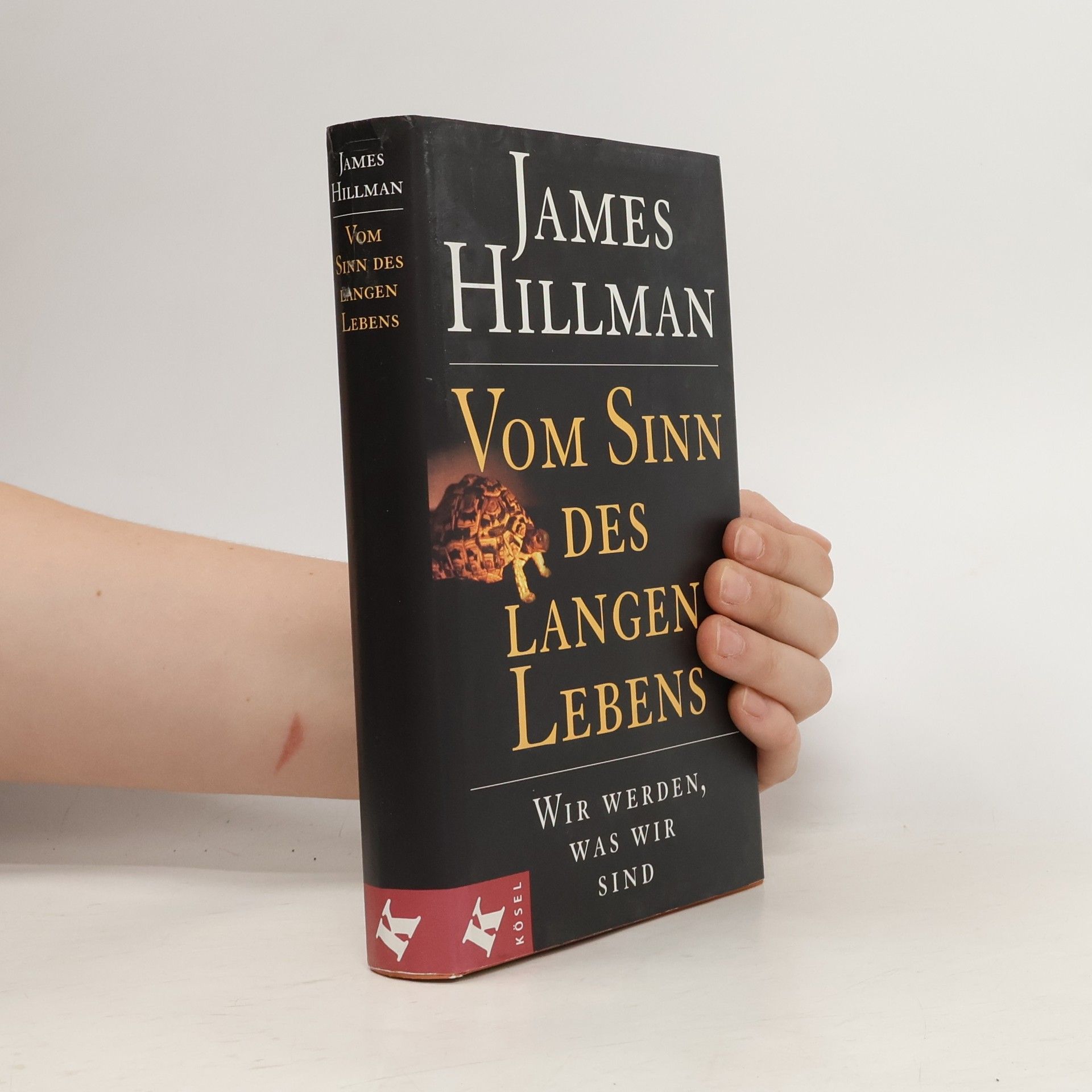 James Hillman Vom Sinn des langen Lebens