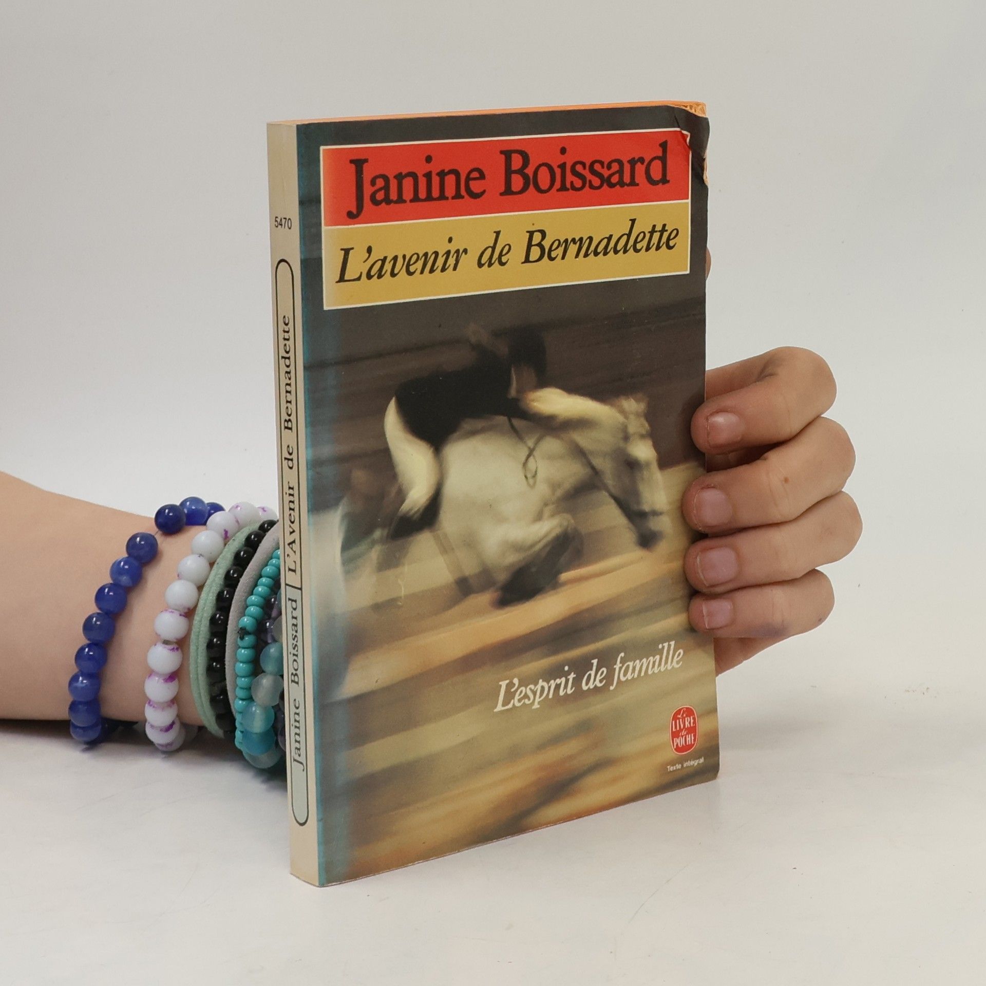 Janine Boissard L'avenir de Bernadette