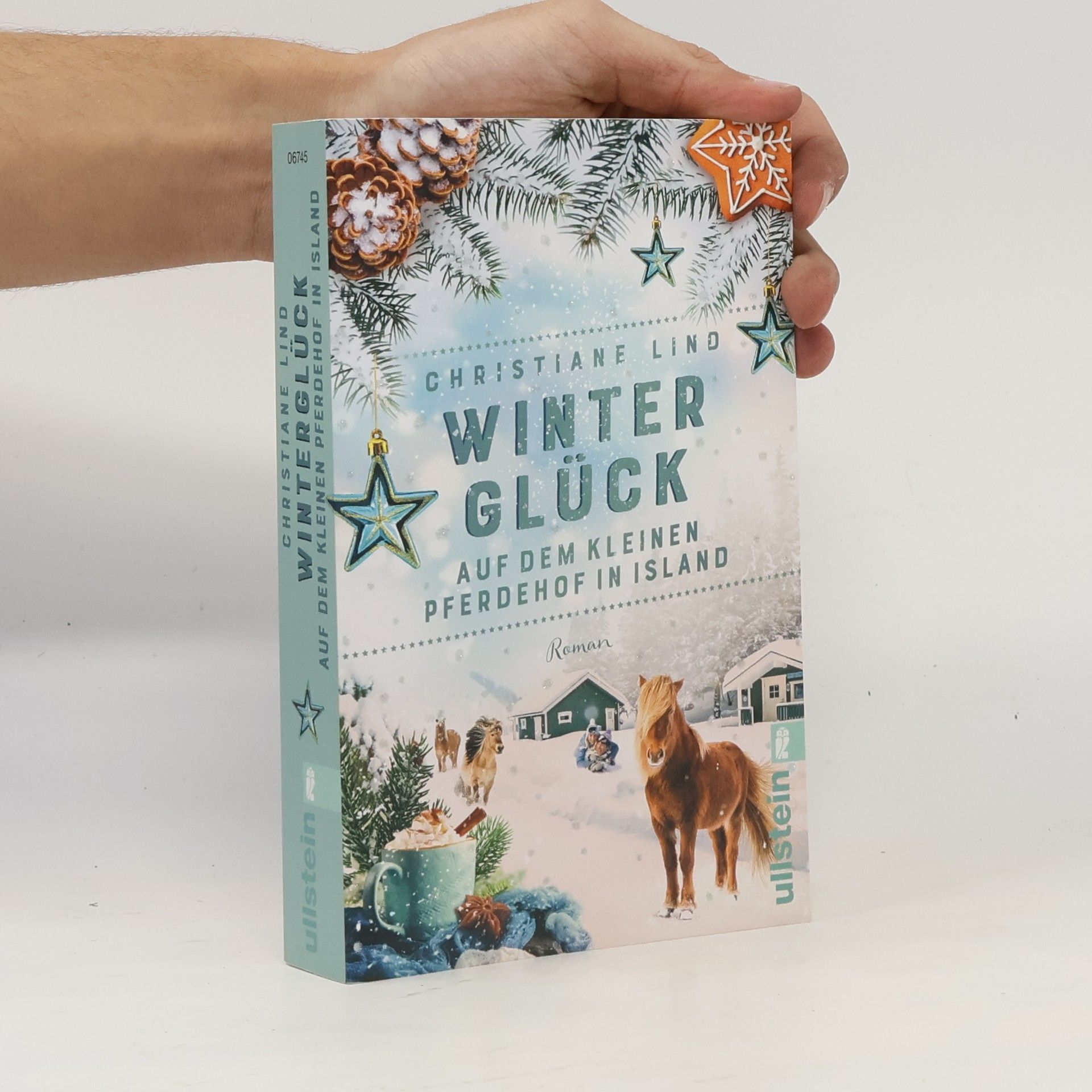 Christiane Lind Winterglück auf dem kleinen Pferdehof in Island