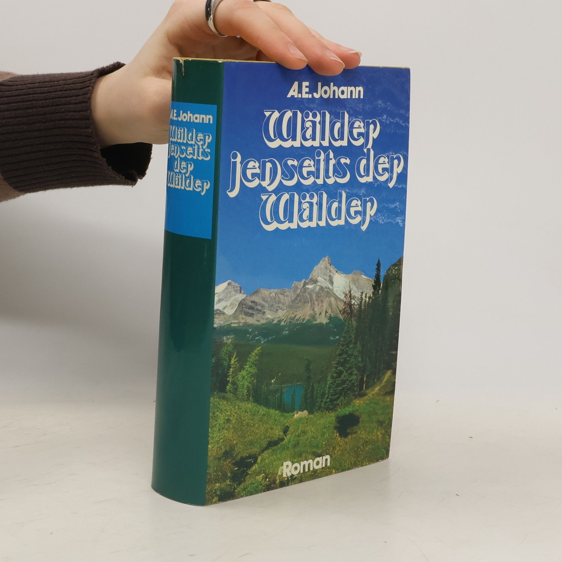 Wälder Jenseits der Wälder