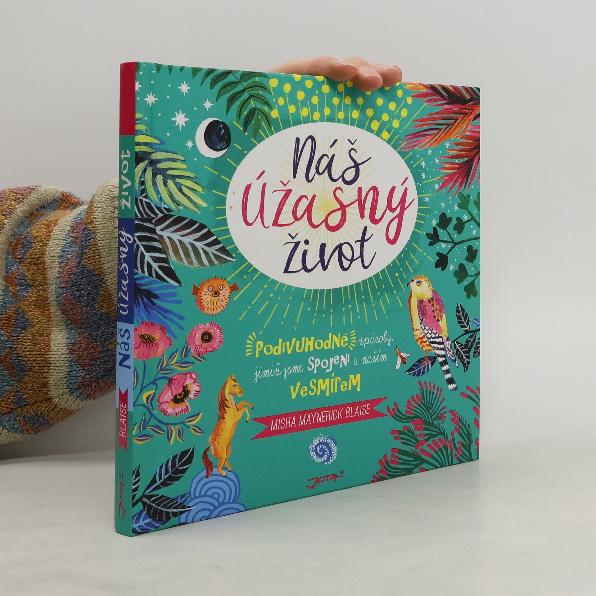 Misha Maynerick Blaise Náš úžasný život