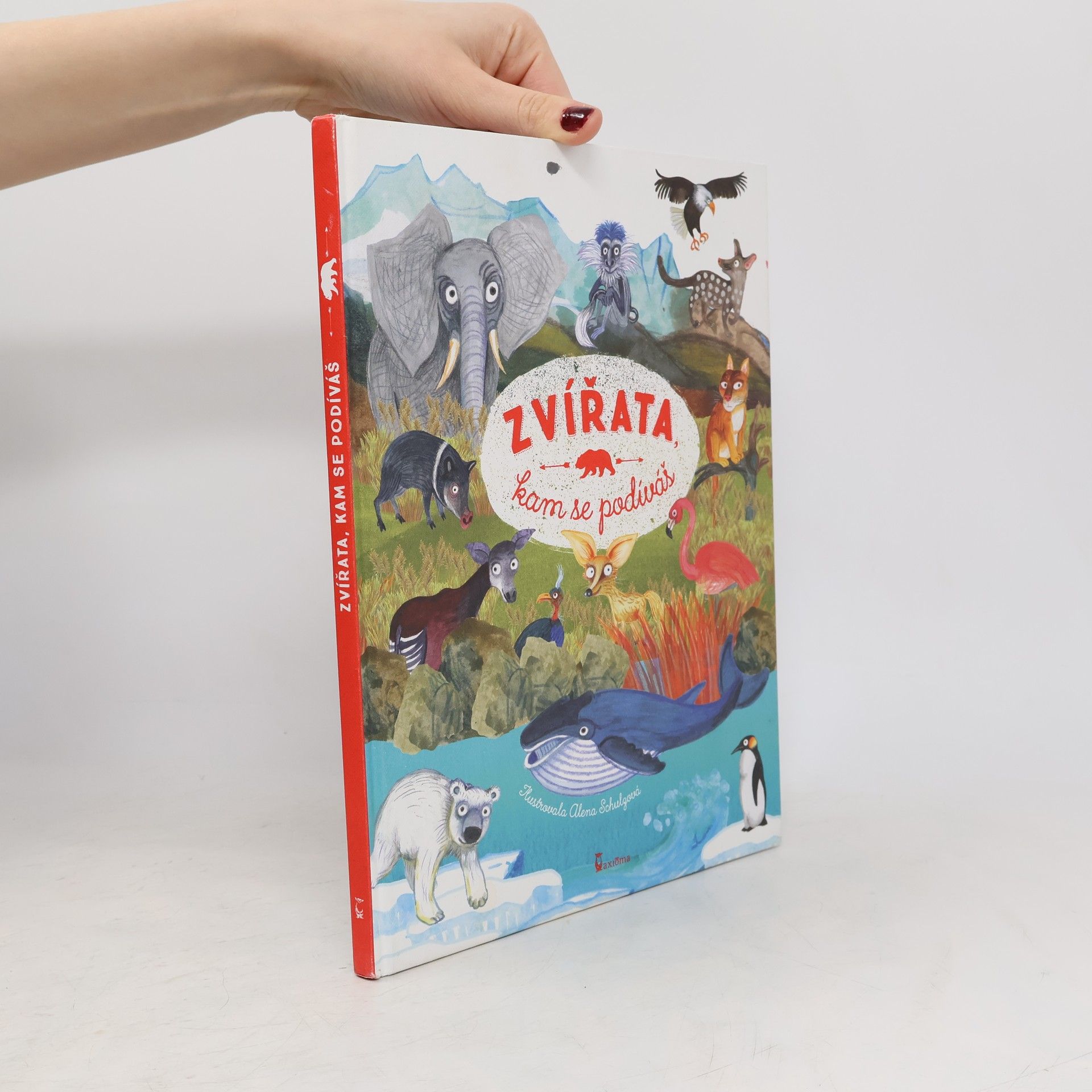Ivana Kocmanová Zvířata, kam se podíváš