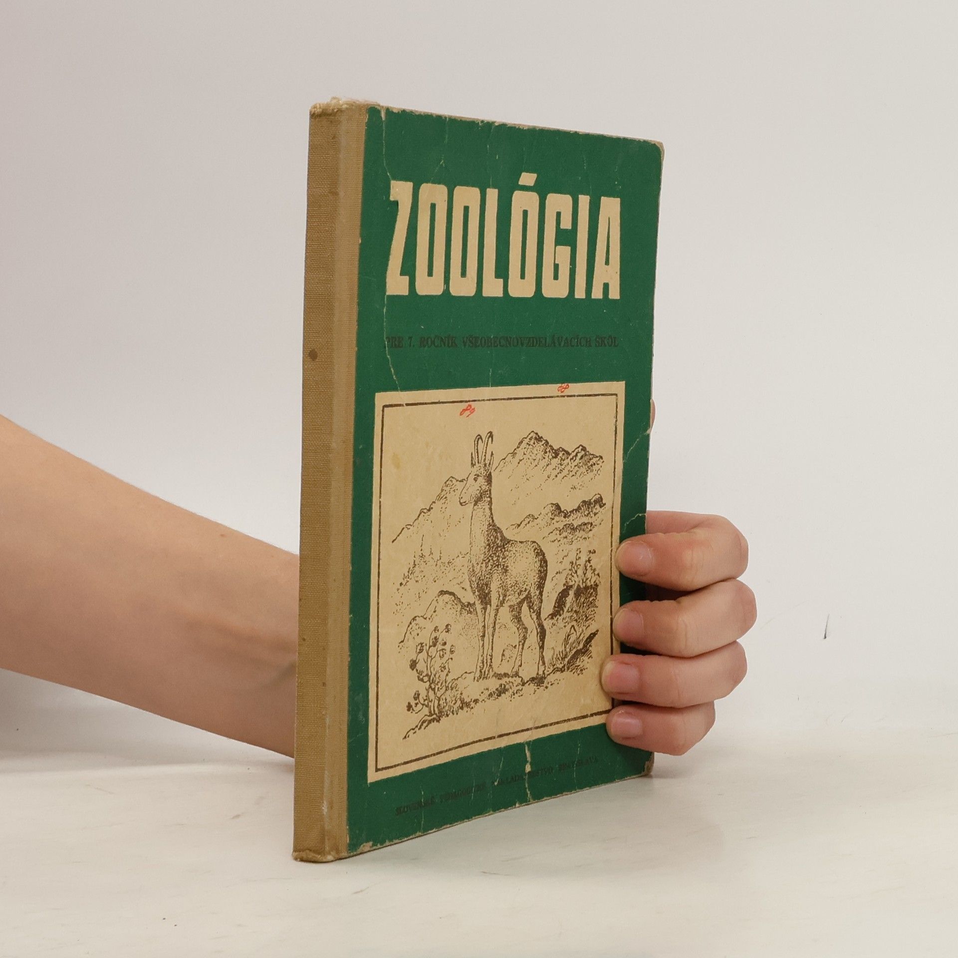 Autorenkollektiv Zoológia