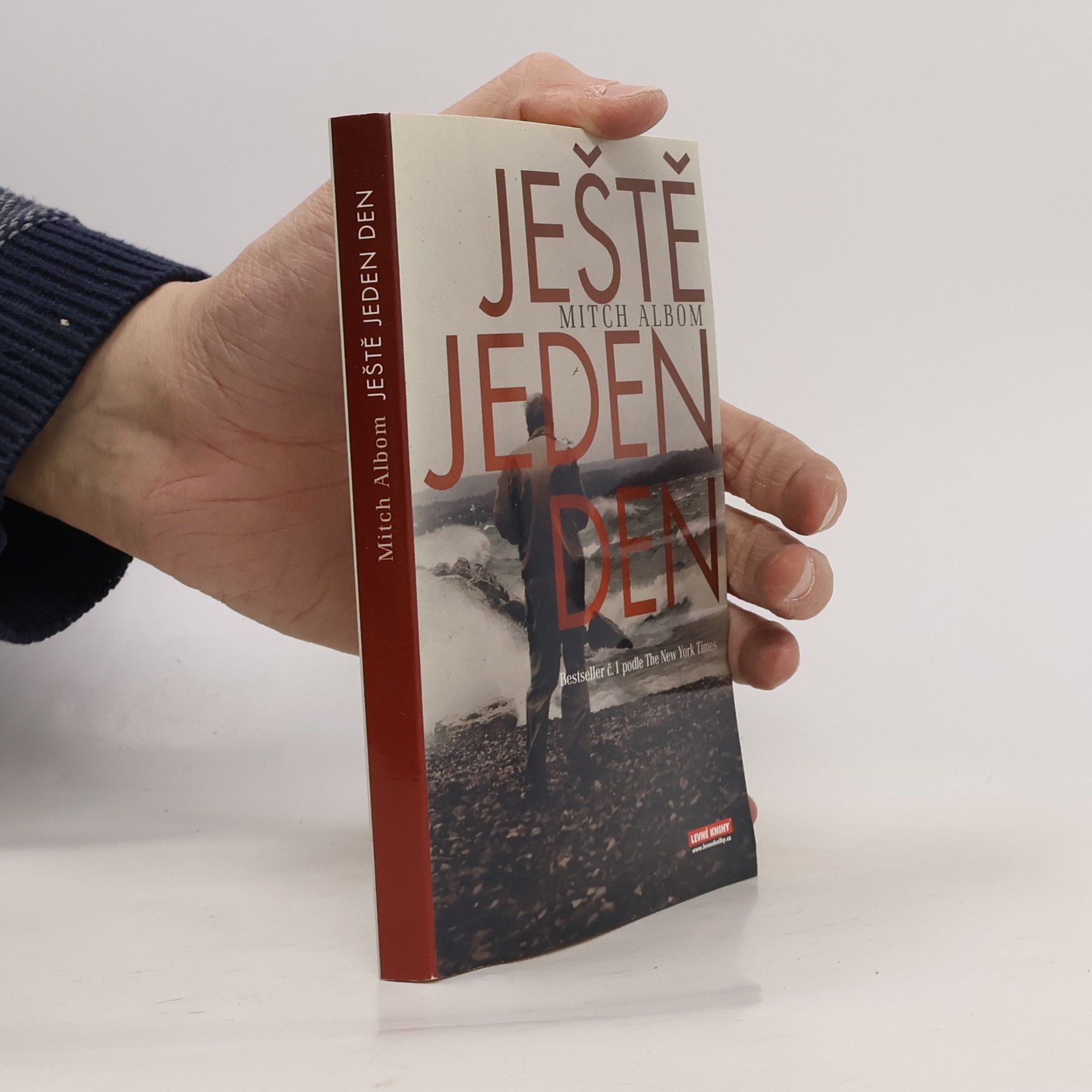 Mitch Albom Ještě jeden den