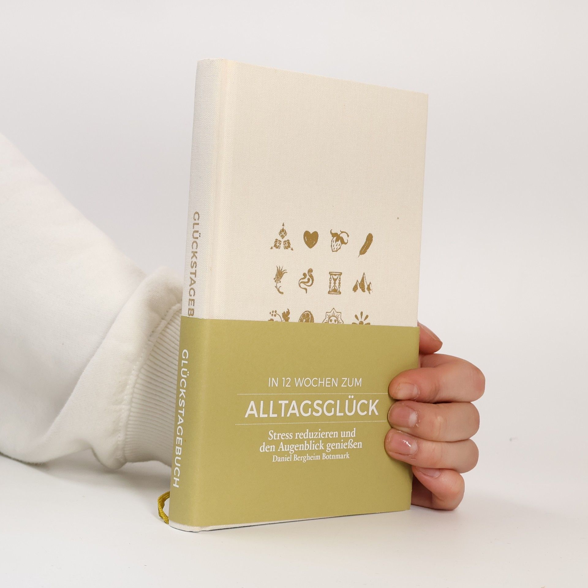Daniel Bergheim Botnmark Glückstagebuch