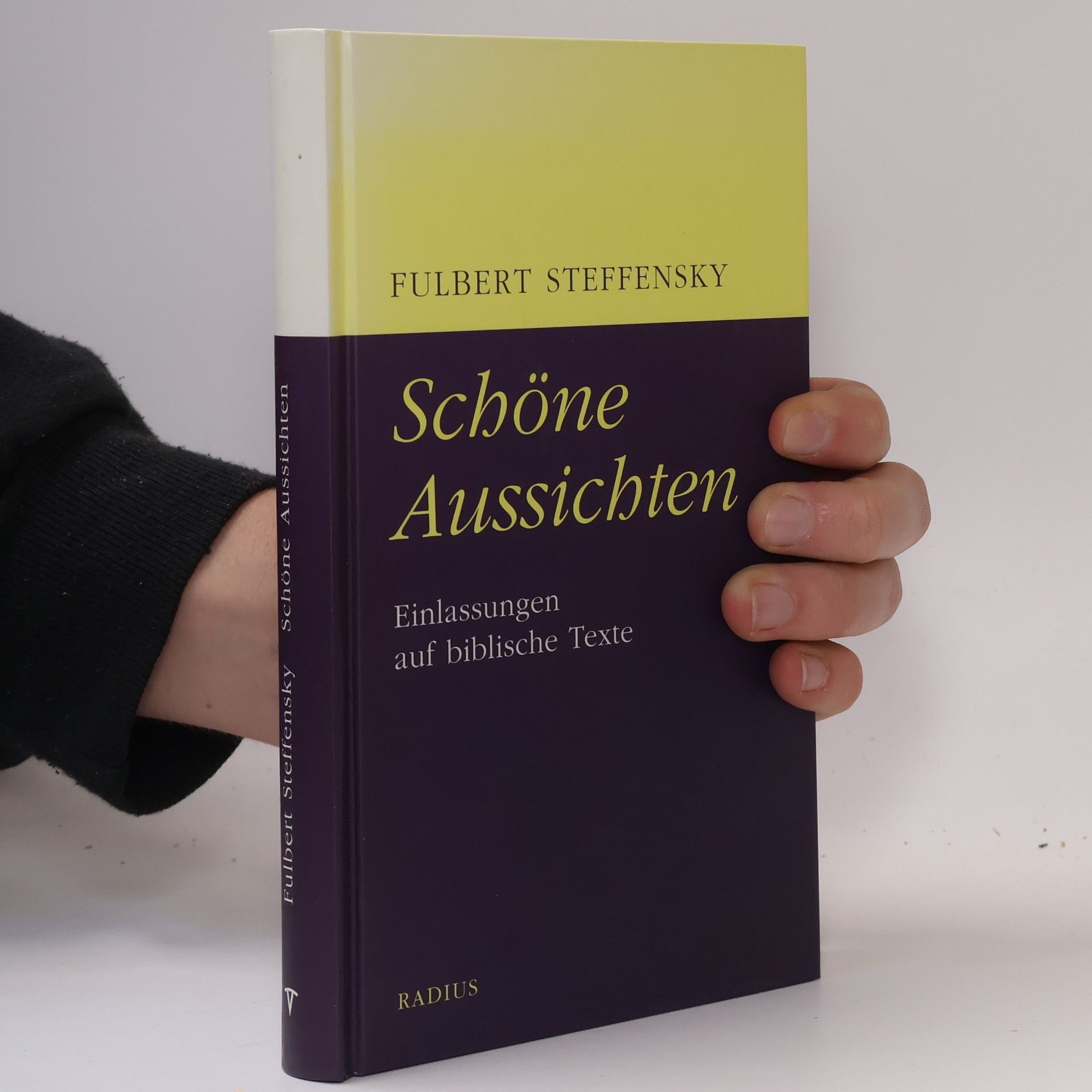 Fulbert Steffensky Schöne Aussichten