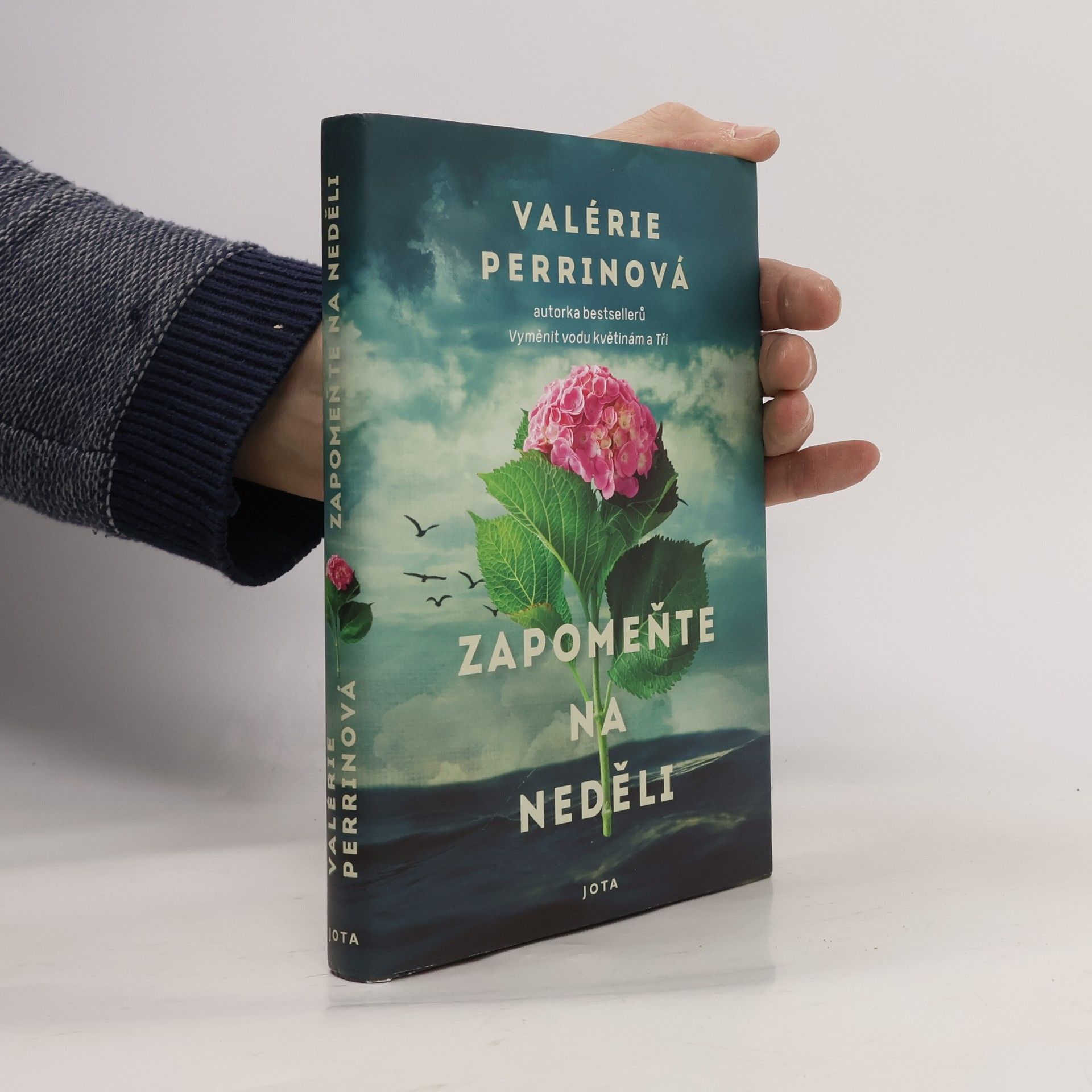 Jitka Řihánková Zapomeňte na neděli