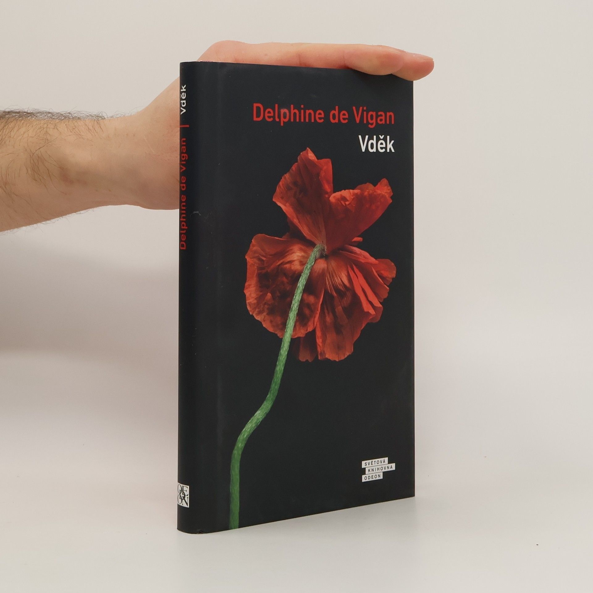 Delphine de Vigan Vděk