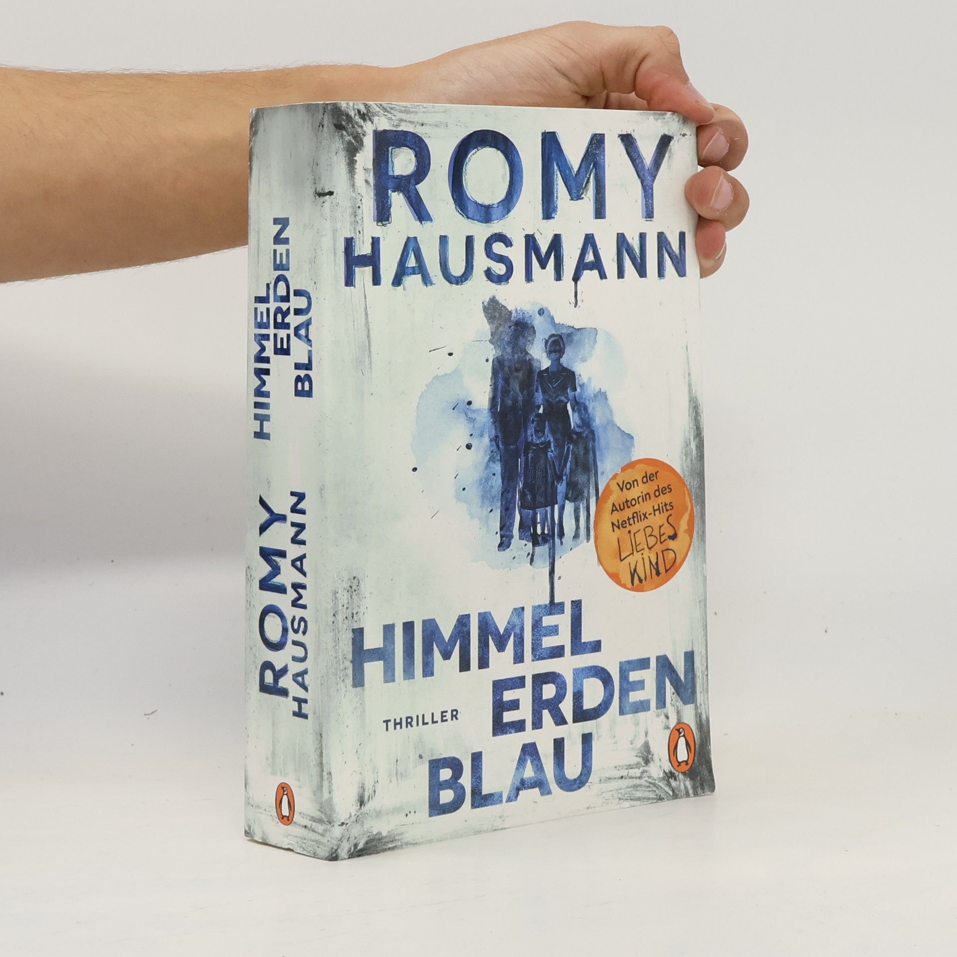 Romy Hausmann Himmelerdenblau