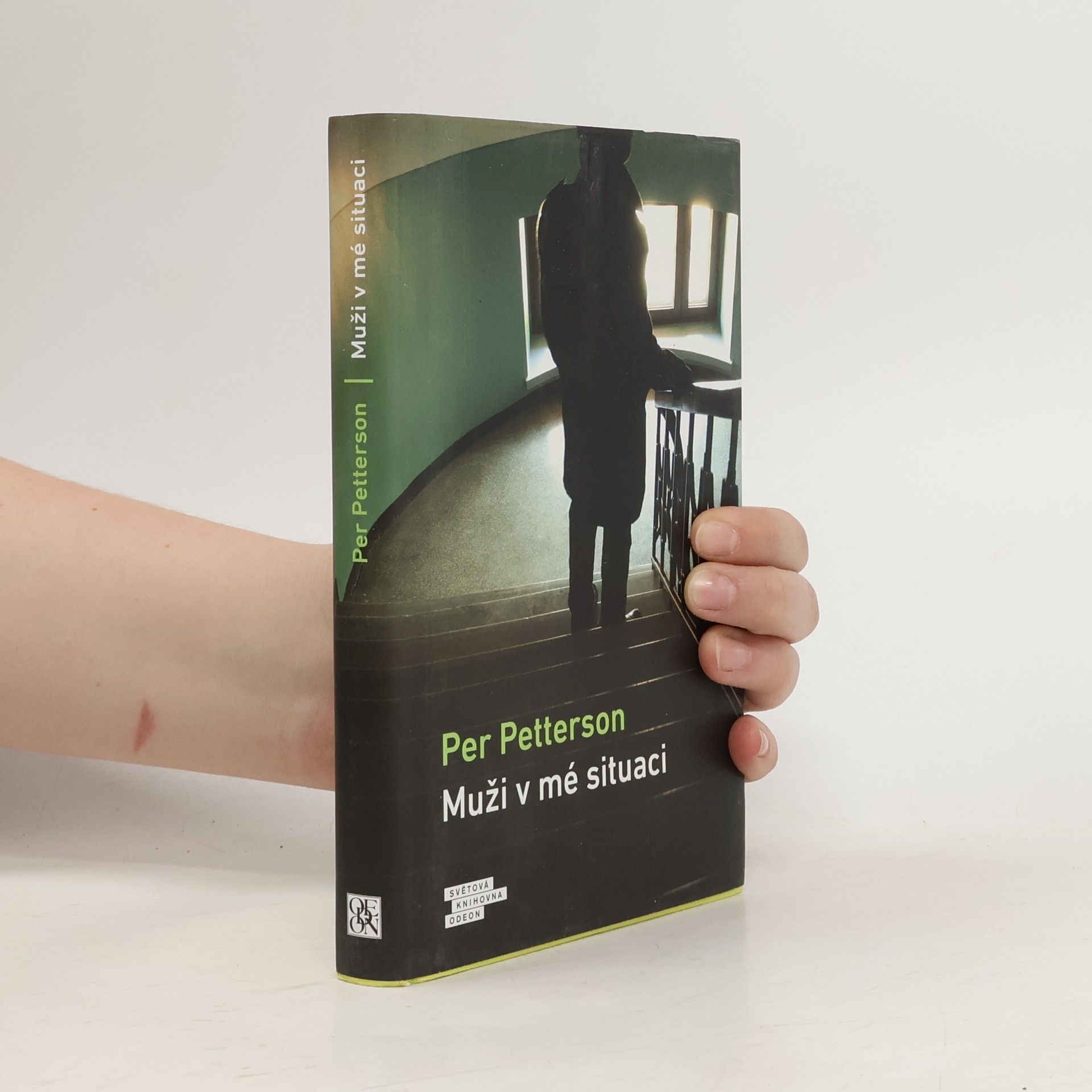 Per Petterson Muži v mé situaci