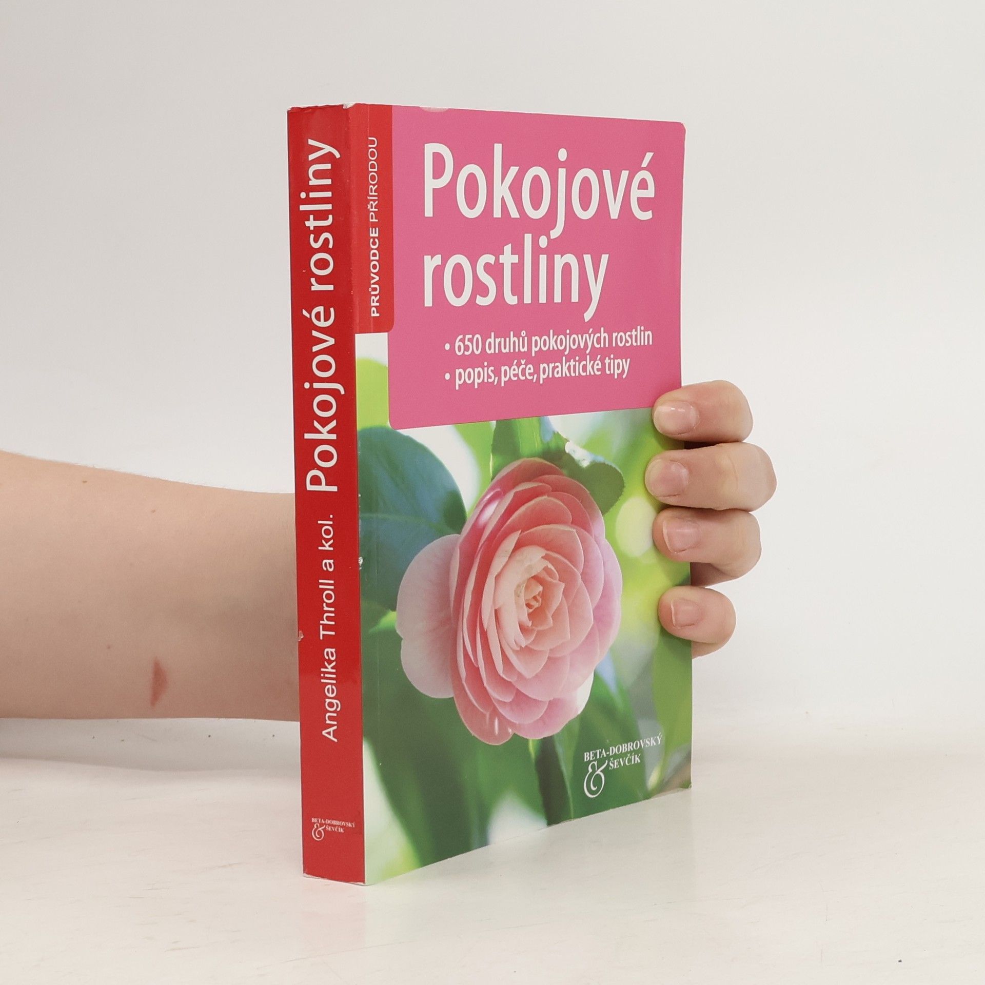 Angelika Throll Pokojové rostliny