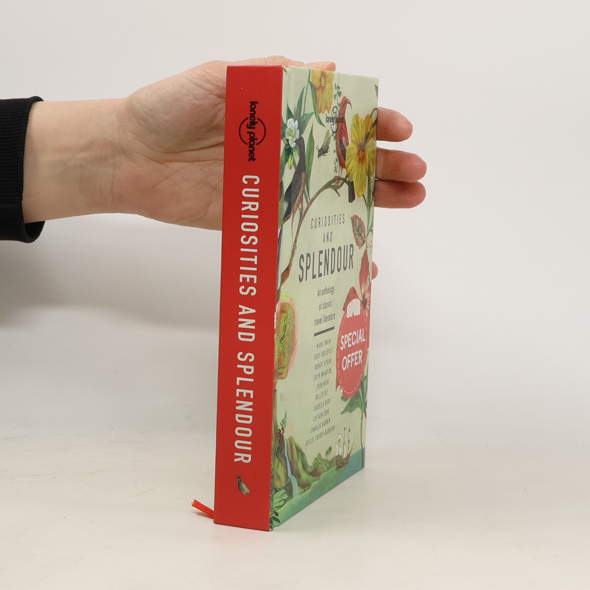 Lonely Planet Curiosities and Splendour